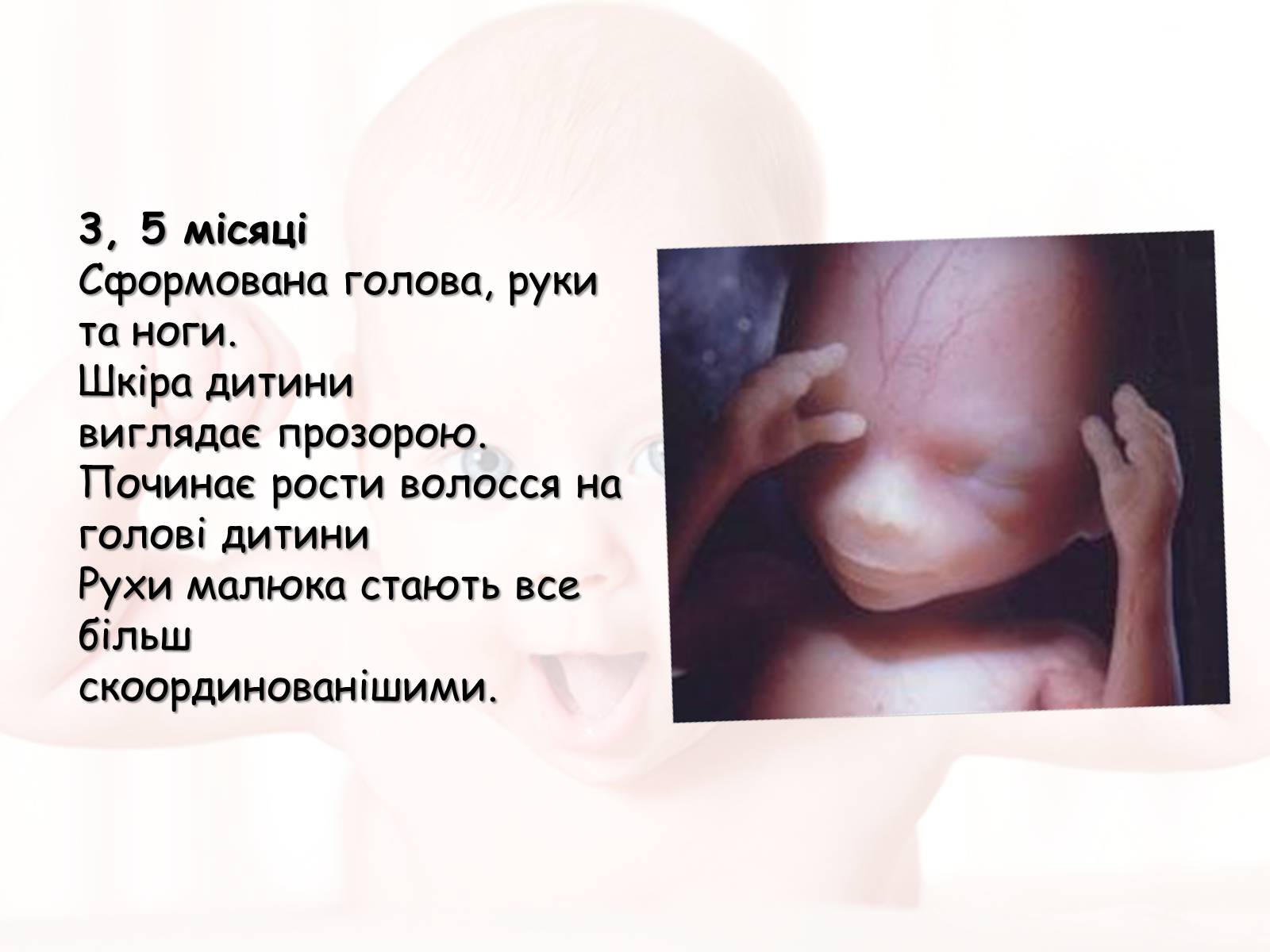 Презентація на тему «Розмноження та розвиток людини» (варіант 2) - Слайд #12 Презентація на тему «Розмноження та розвиток людини» (варіант 2) - Слайд #12
