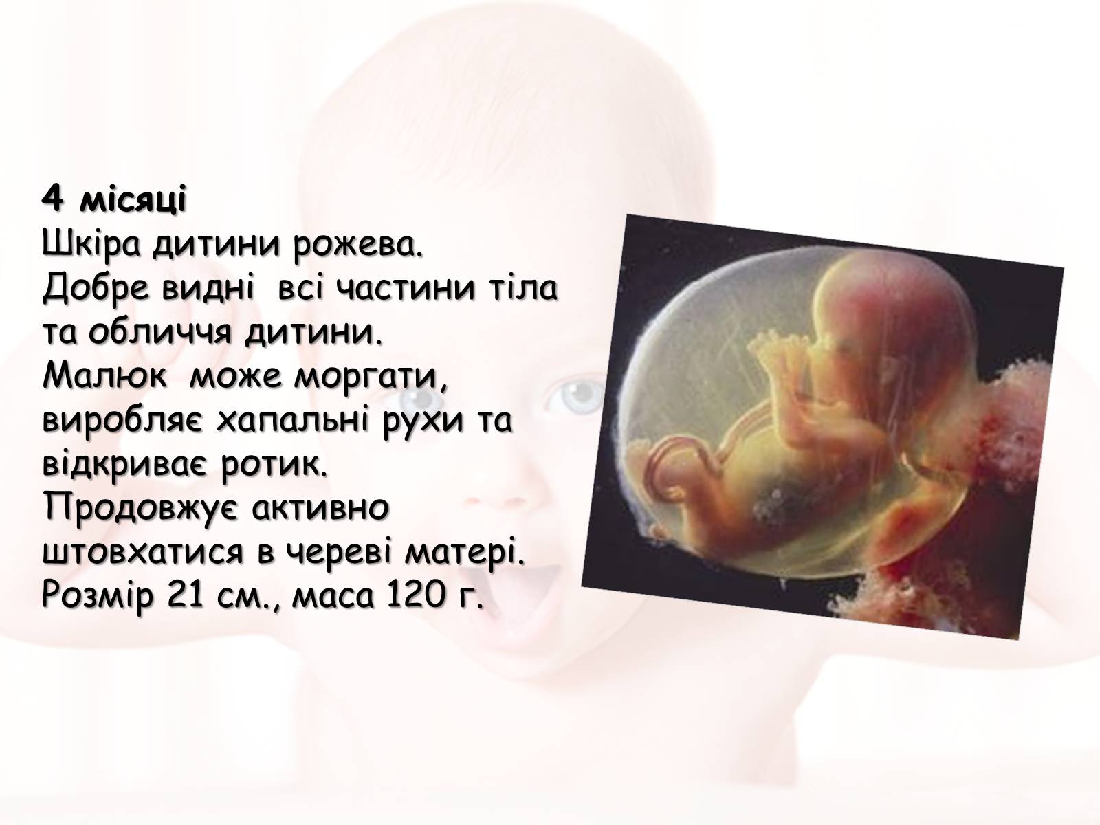 Презентація на тему «Розмноження та розвиток людини» (варіант 2) - Слайд #13 Презентація на тему «Розмноження та розвиток людини» (варіант 2) - Слайд #13