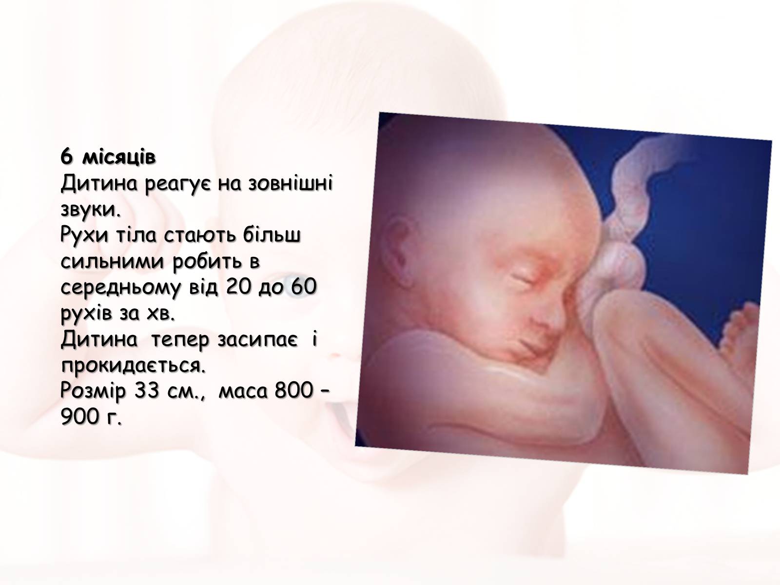 Презентація на тему «Розмноження та розвиток людини» (варіант 2) - Слайд #16 Презентація на тему «Розмноження та розвиток людини» (варіант 2) - Слайд #16