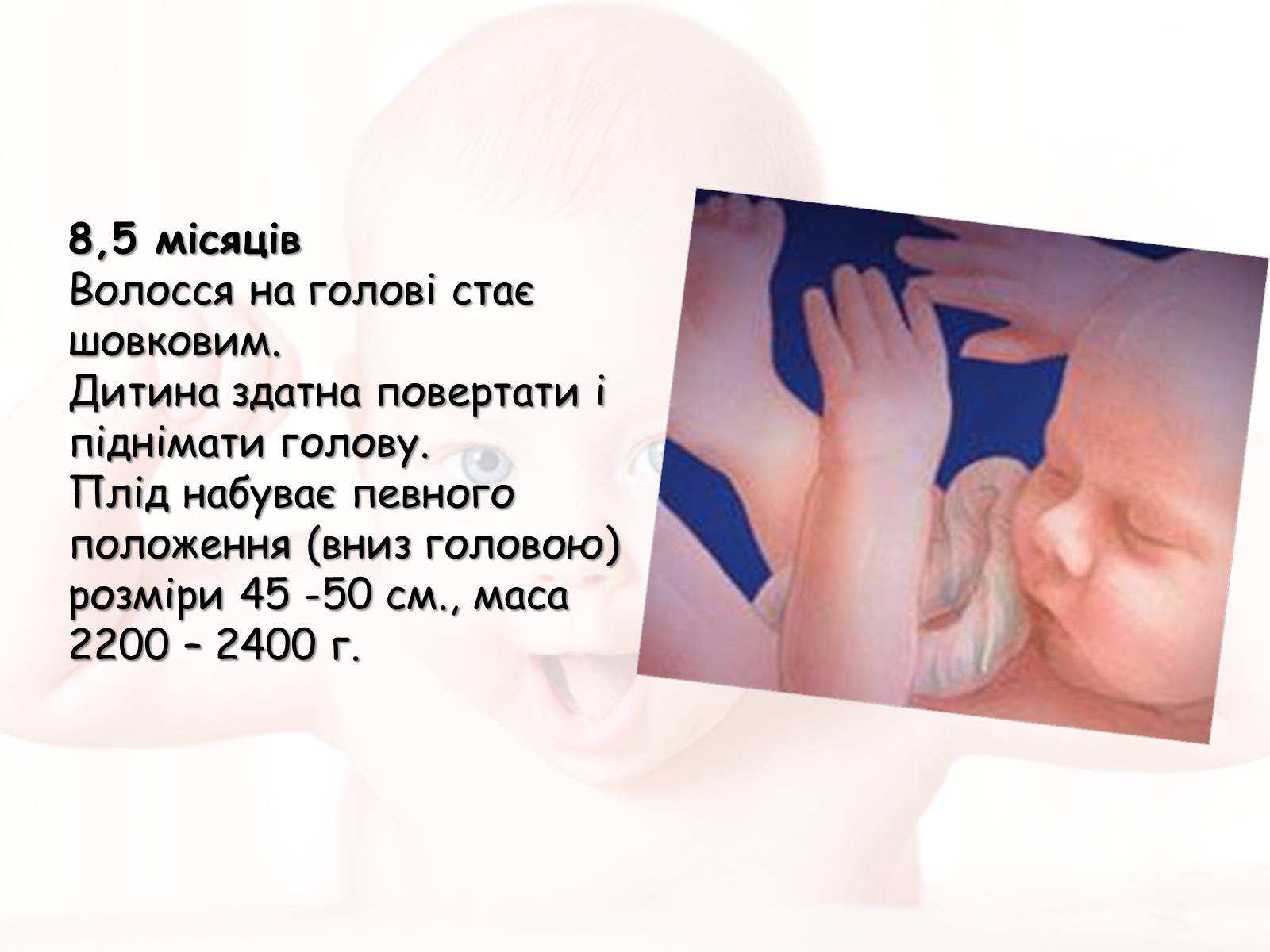 Презентація на тему «Розмноження та розвиток людини» (варіант 2) - Слайд #17 Презентація на тему «Розмноження та розвиток людини» (варіант 2) - Слайд #17