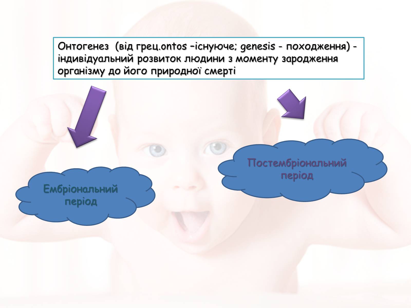 Презентація на тему «Розмноження та розвиток людини» (варіант 2) - Слайд #4 Презентація на тему «Розмноження та розвиток людини» (варіант 2) - Слайд #4