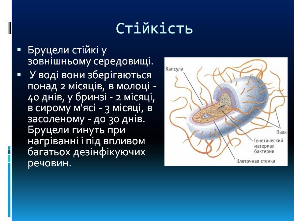 Презентація на тему «Бруцельоз» - Слайд #3 Презентація на тему «Бруцельоз» - Слайд #3