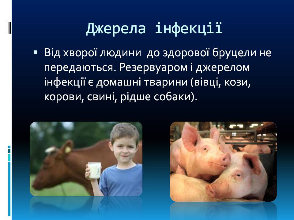 Презентація на тему «Бруцельоз» - Слайд #4 Презентація на тему «Бруцельоз» - Слайд #4
