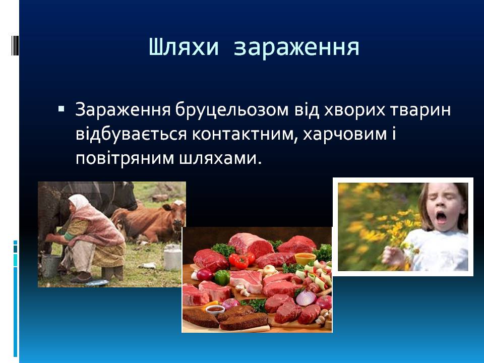 Презентація на тему «Бруцельоз» - Слайд #5 Презентація на тему «Бруцельоз» - Слайд #5