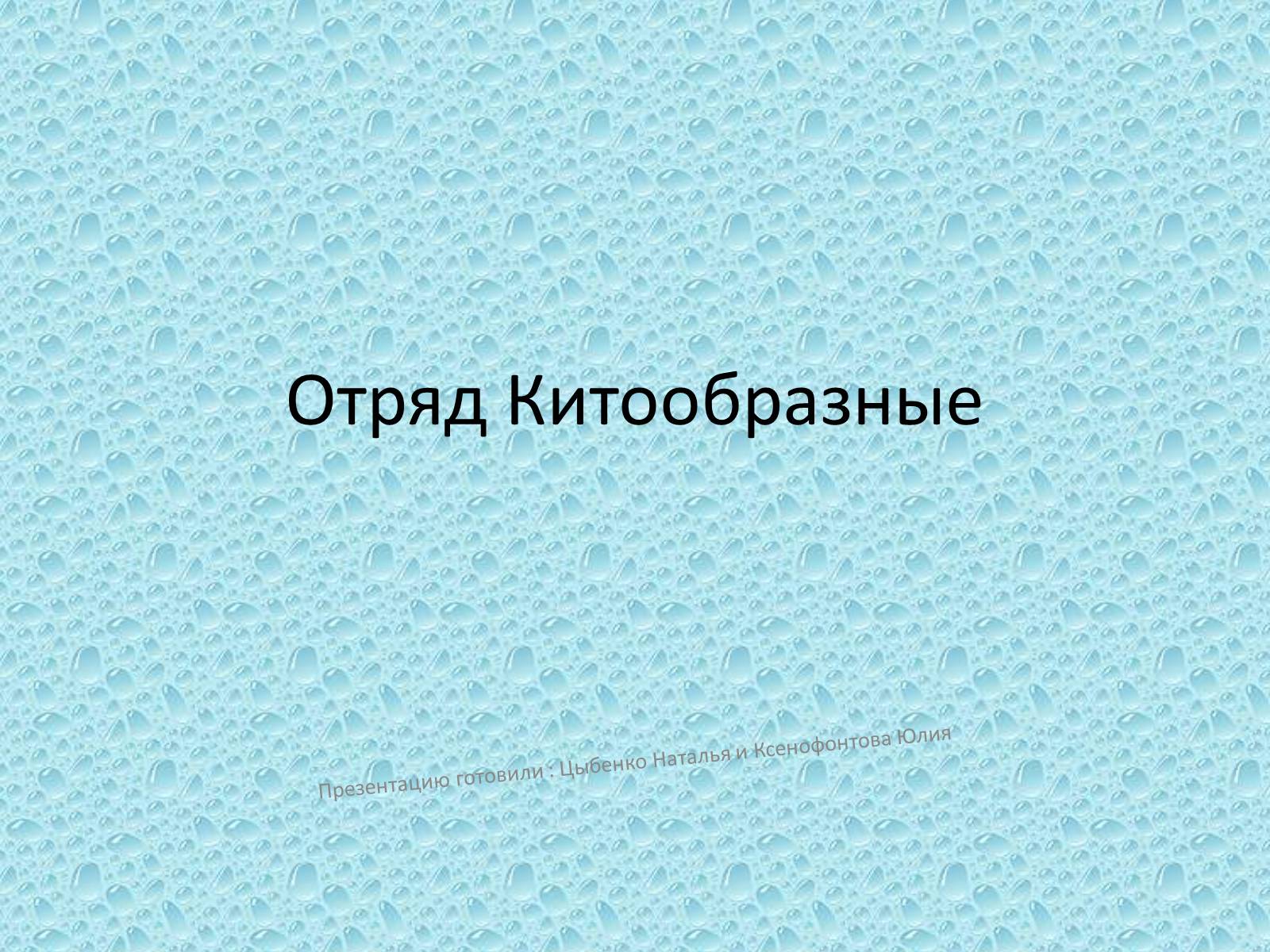 Презентація на тему «Отряд Китообразные» - Слайд #1 Презентація на тему «Отряд Китообразные» - Слайд #1