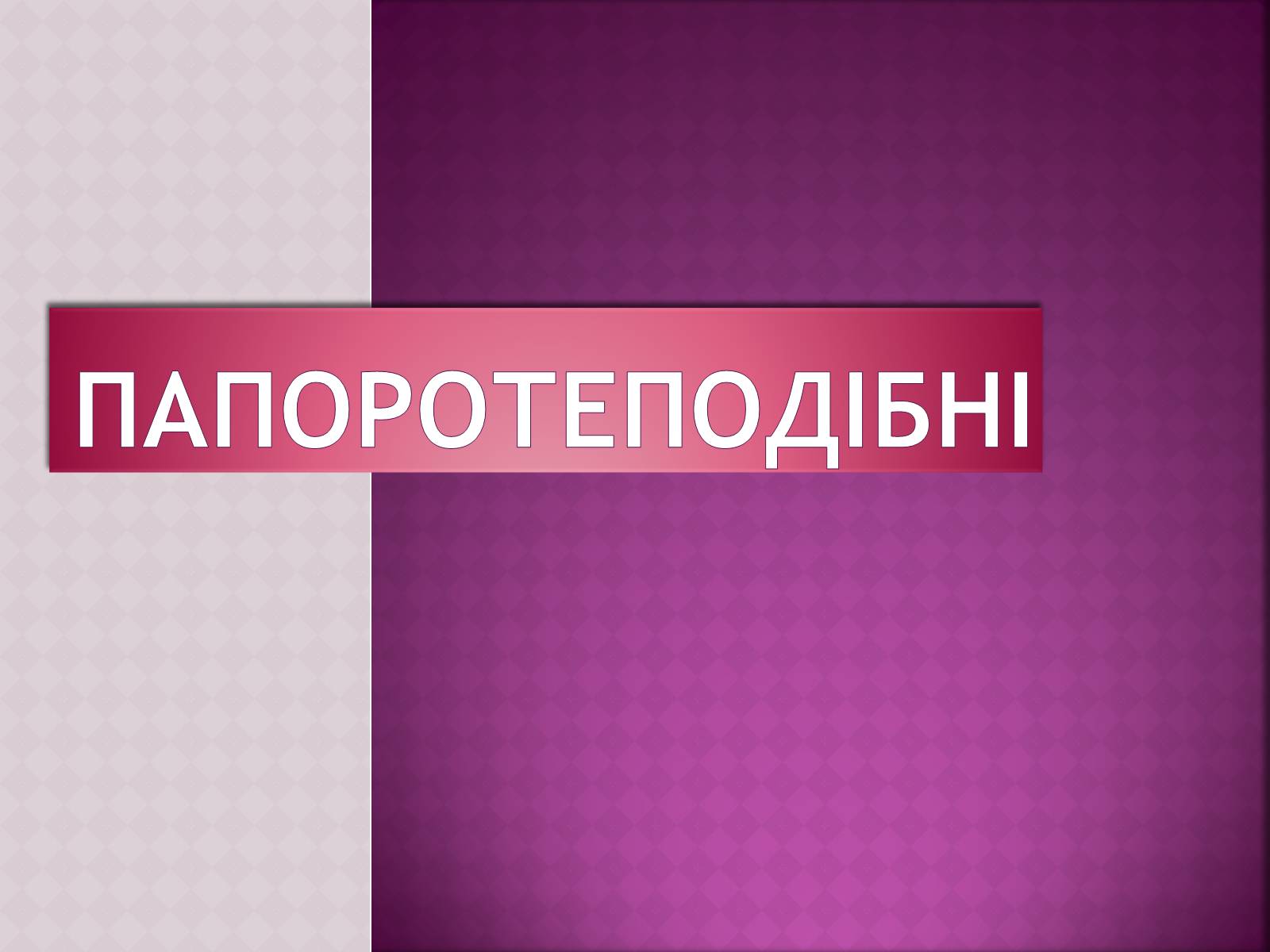 Презентація на тему «Папоротеподібні» (варіант 1) - Слайд #1 Презентація на тему «Папоротеподібні» (варіант 1) - Слайд #1