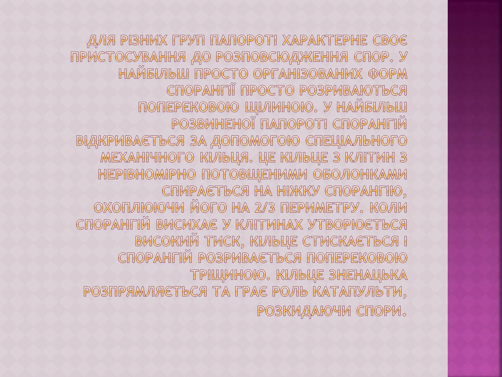 Презентація на тему «Папоротеподібні» (варіант 1) - Слайд #9 Презентація на тему «Папоротеподібні» (варіант 1) - Слайд #9