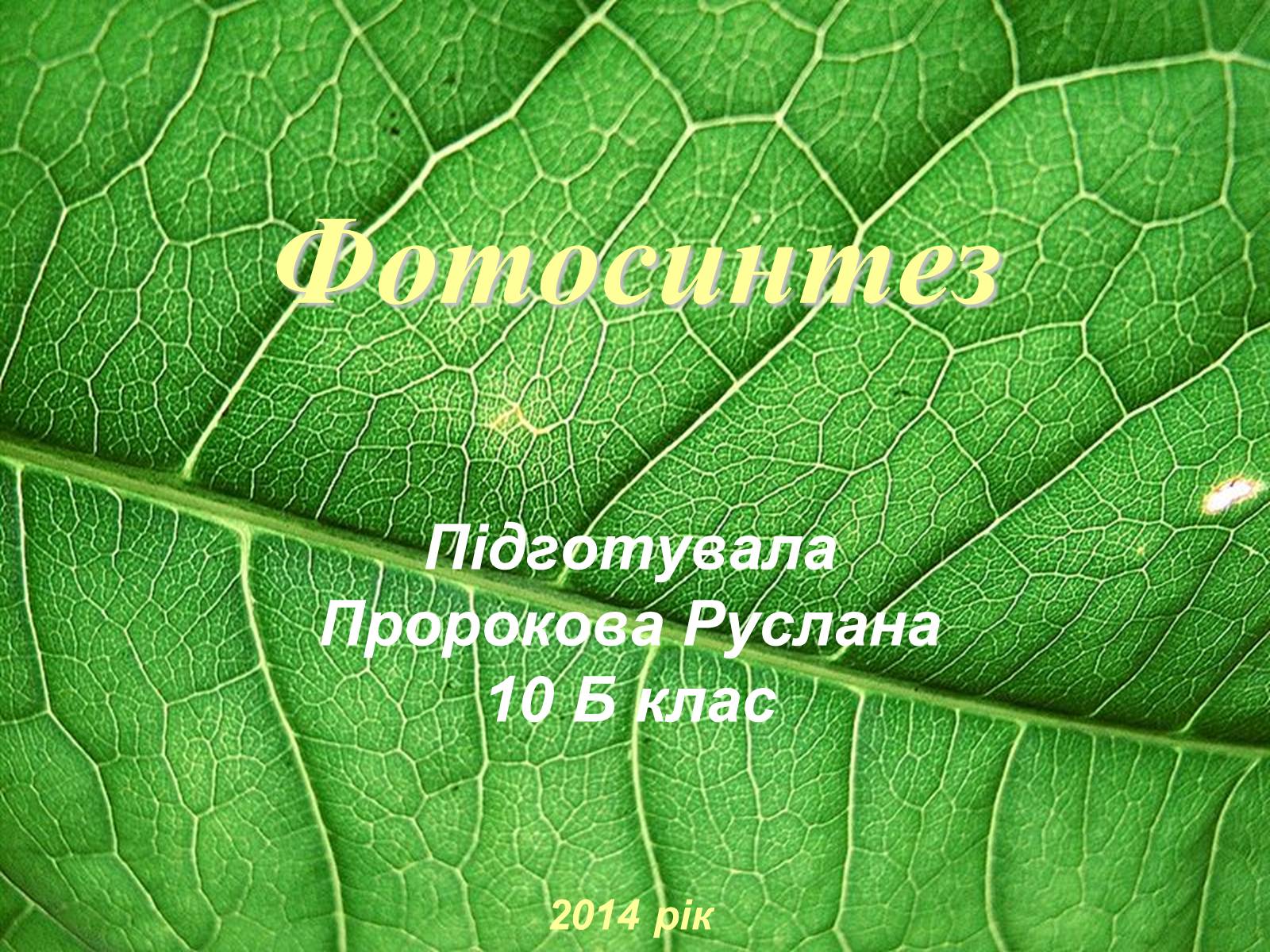 Презентація на тему «Фотосинтез» (варіант 4) - Слайд #1 Презентація на тему «Фотосинтез» (варіант 4) - Слайд #1