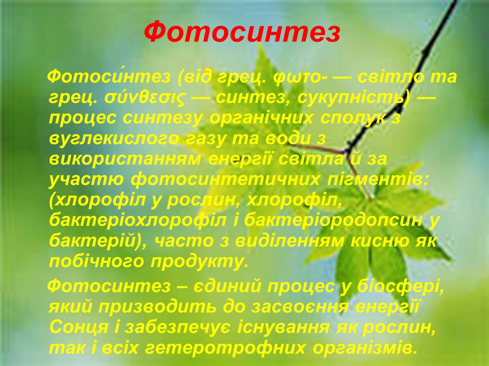 Презентація на тему «Фотосинтез» (варіант 4) - Слайд #2 Презентація на тему «Фотосинтез» (варіант 4) - Слайд #2
