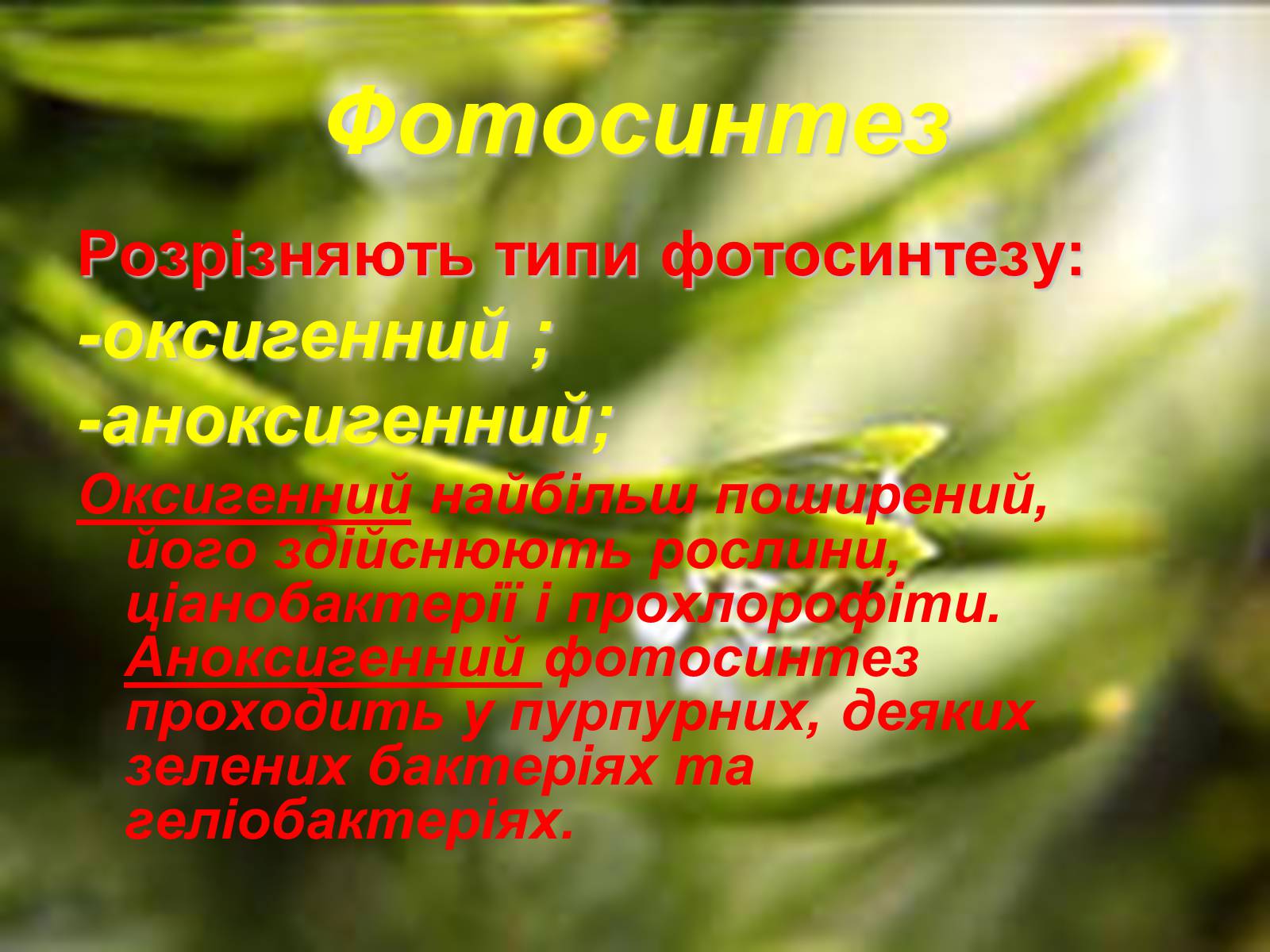 Презентація на тему «Фотосинтез» (варіант 4) - Слайд #4 Презентація на тему «Фотосинтез» (варіант 4) - Слайд #4