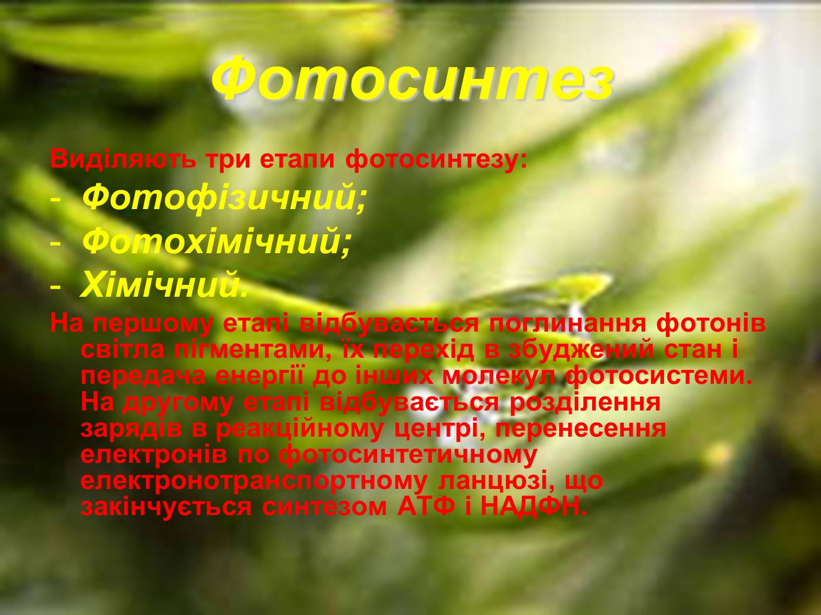 Презентація на тему «Фотосинтез» (варіант 4) - Слайд #5 Презентація на тему «Фотосинтез» (варіант 4) - Слайд #5