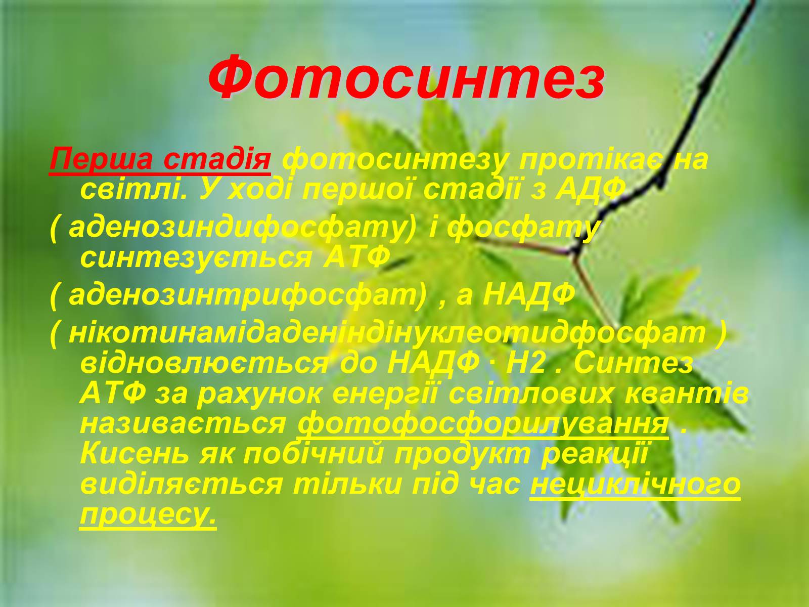 Презентація на тему «Фотосинтез» (варіант 4) - Слайд #7 Презентація на тему «Фотосинтез» (варіант 4) - Слайд #7