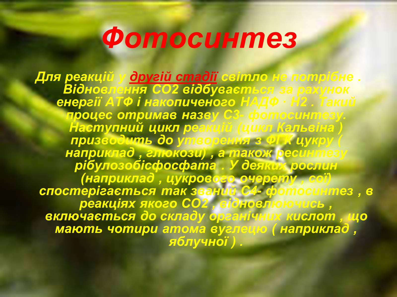 Презентація на тему «Фотосинтез» (варіант 4) - Слайд #8 Презентація на тему «Фотосинтез» (варіант 4) - Слайд #8