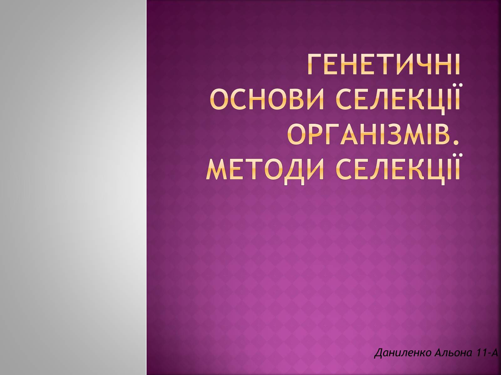 Презентація на тему «Генетичні основи селекції організмів» (варіант 1) - Слайд #1 Презентація на тему «Генетичні основи селекції організмів» (варіант 1) - Слайд #1