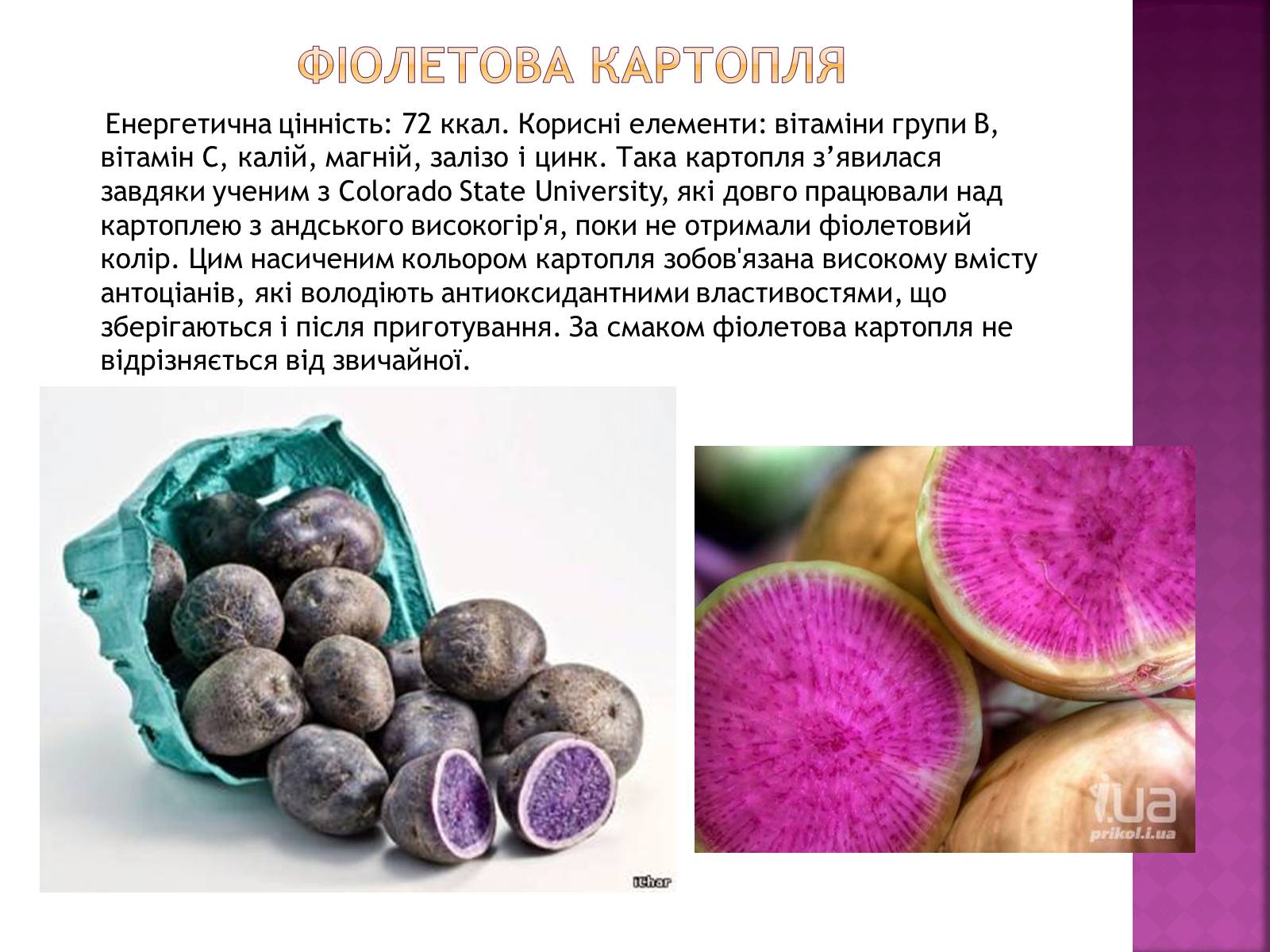 Презентація на тему «Генетичні основи селекції організмів» (варіант 1) - Слайд #13 Презентація на тему «Генетичні основи селекції організмів» (варіант 1) - Слайд #13