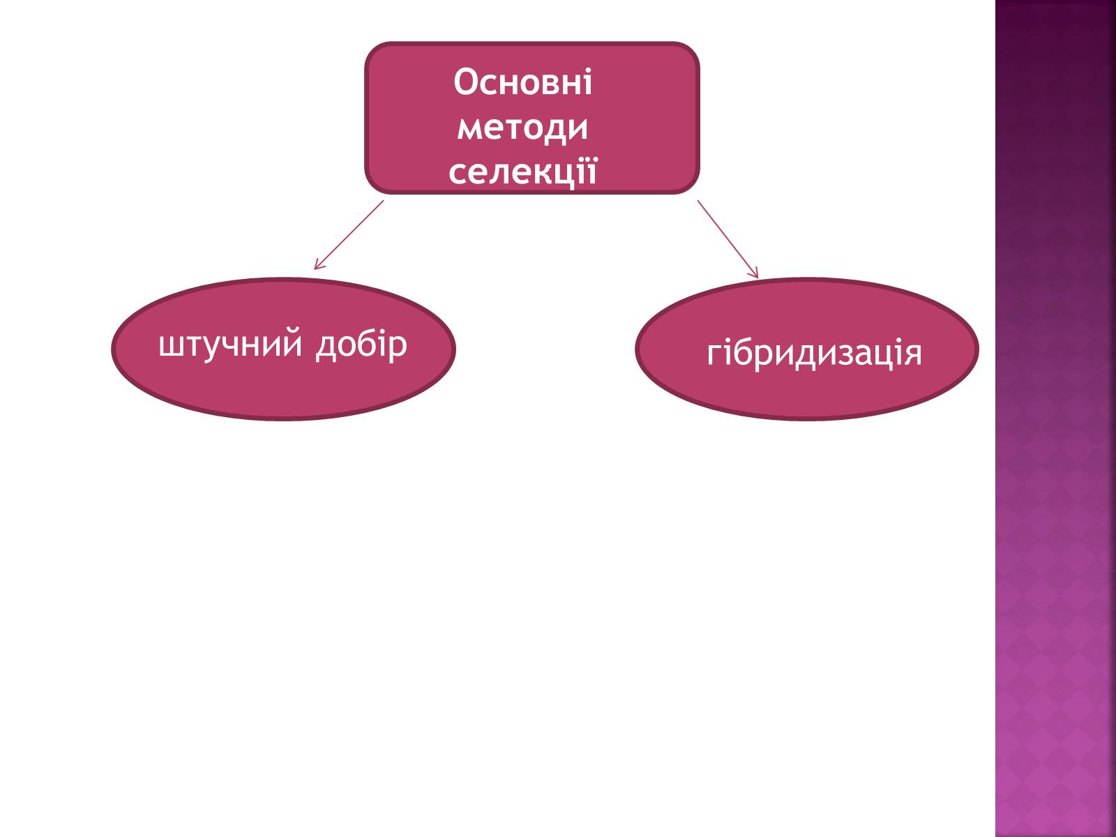 Презентація на тему «Генетичні основи селекції організмів» (варіант 1) - Слайд #5 Презентація на тему «Генетичні основи селекції організмів» (варіант 1) - Слайд #5