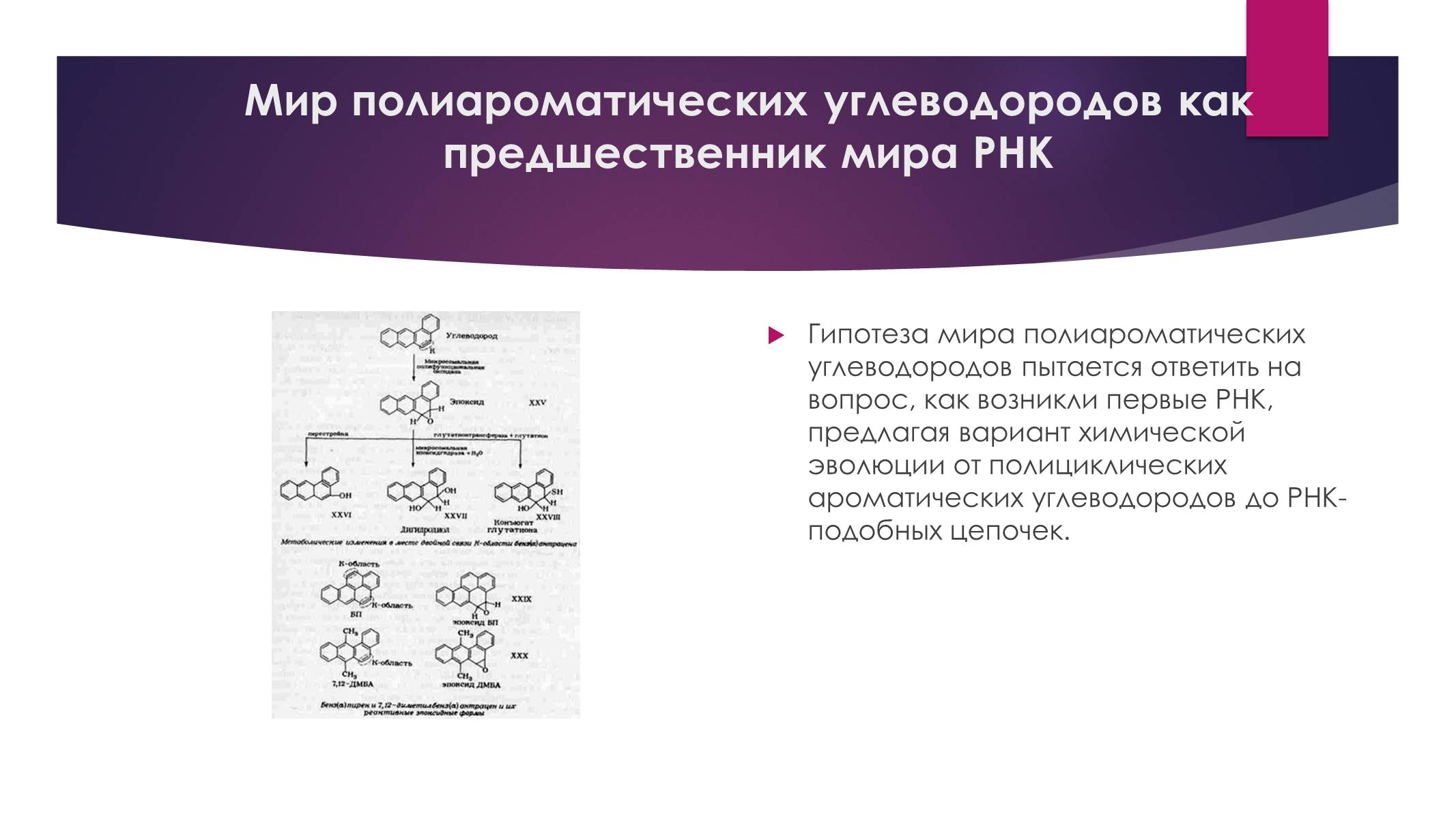 Презентація на тему «Возникновение жизни или абиогенез» - Слайд #12 Презентація на тему «Возникновение жизни или абиогенез» - Слайд #12
