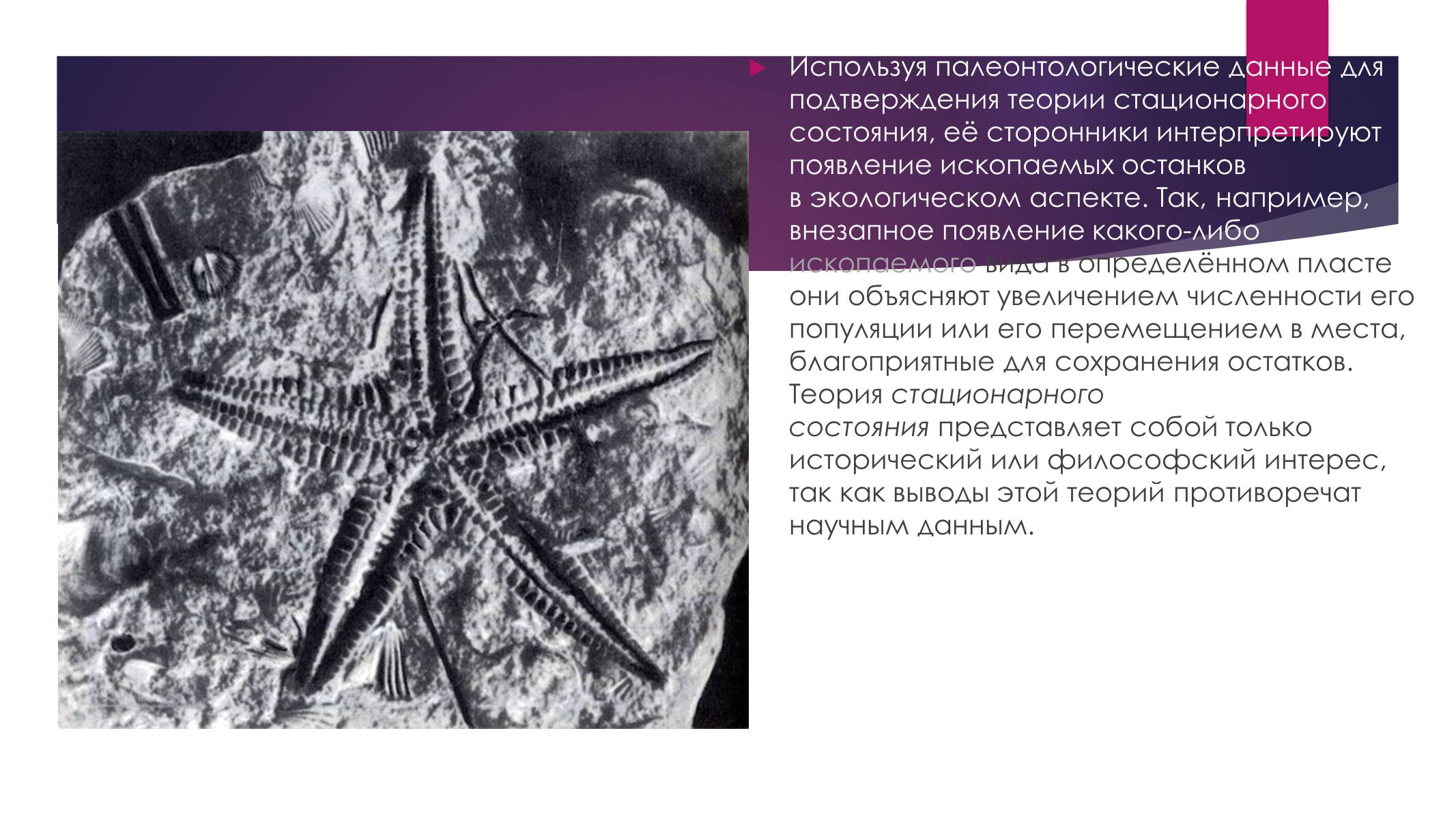 Презентація на тему «Возникновение жизни или абиогенез» - Слайд #5 Презентація на тему «Возникновение жизни или абиогенез» - Слайд #5