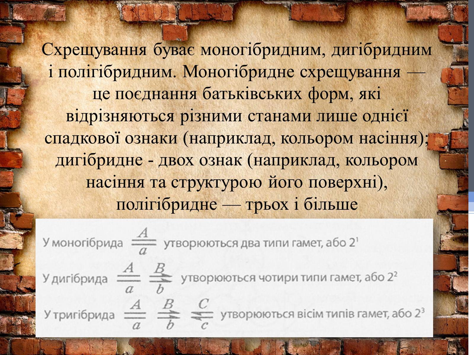 Презентація на тему «Методи генетичних досліджень» (варіант 2) - Слайд #3 Презентація на тему «Методи генетичних досліджень» (варіант 2) - Слайд #3