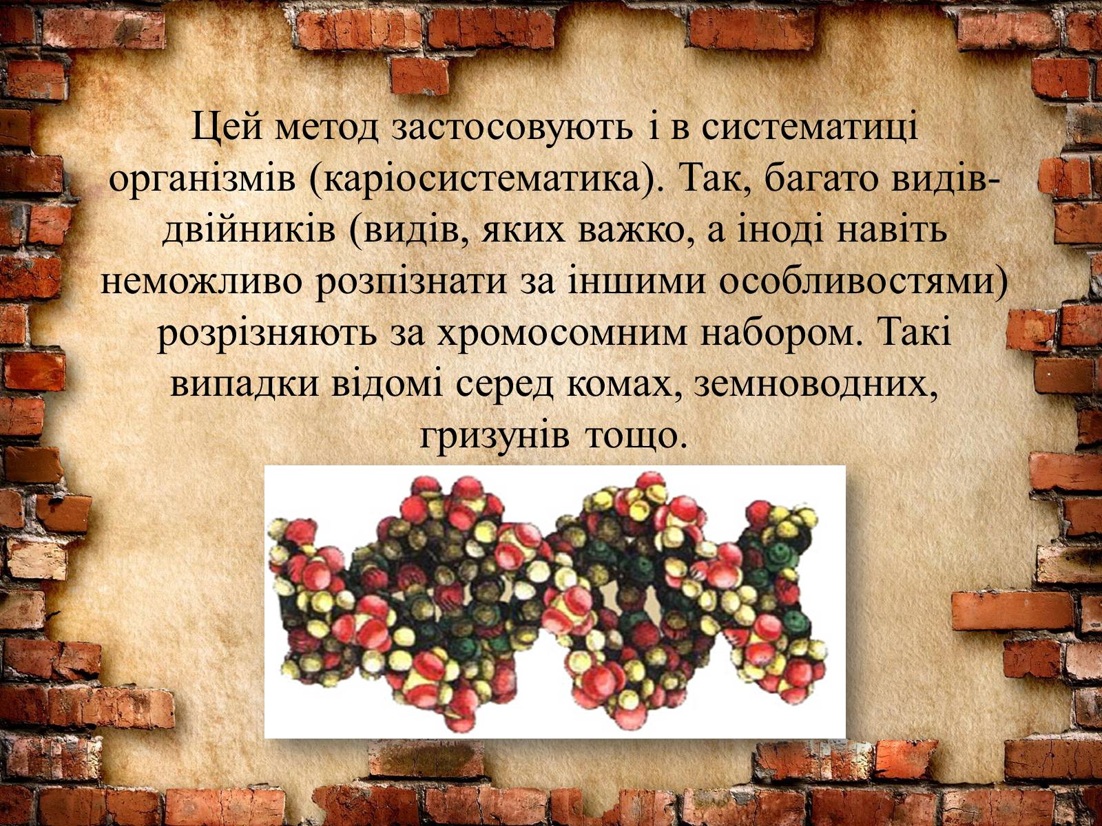 Презентація на тему «Методи генетичних досліджень» (варіант 2) - Слайд #6 Презентація на тему «Методи генетичних досліджень» (варіант 2) - Слайд #6