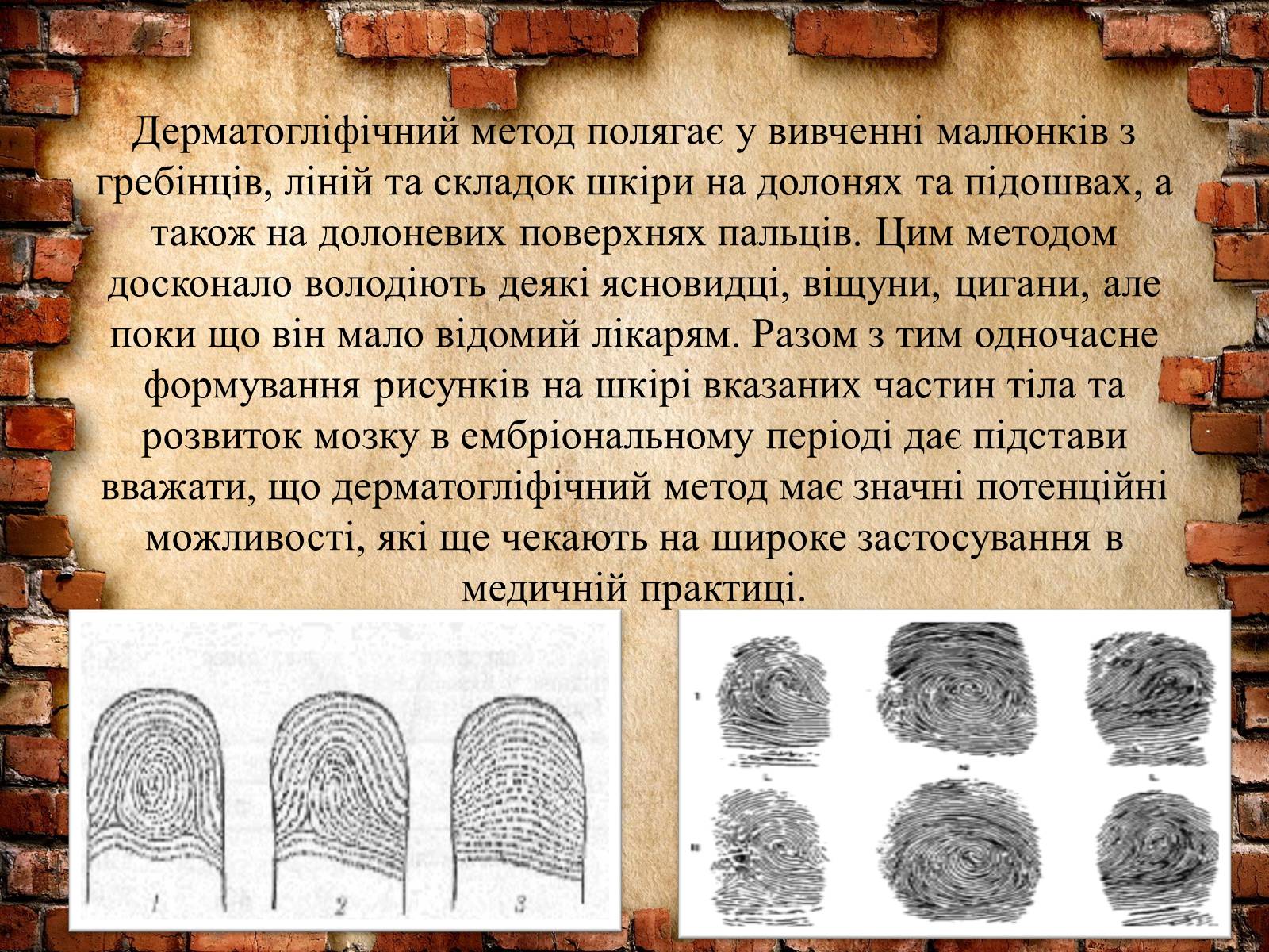 Презентація на тему «Методи генетичних досліджень» (варіант 2) - Слайд #7 Презентація на тему «Методи генетичних досліджень» (варіант 2) - Слайд #7