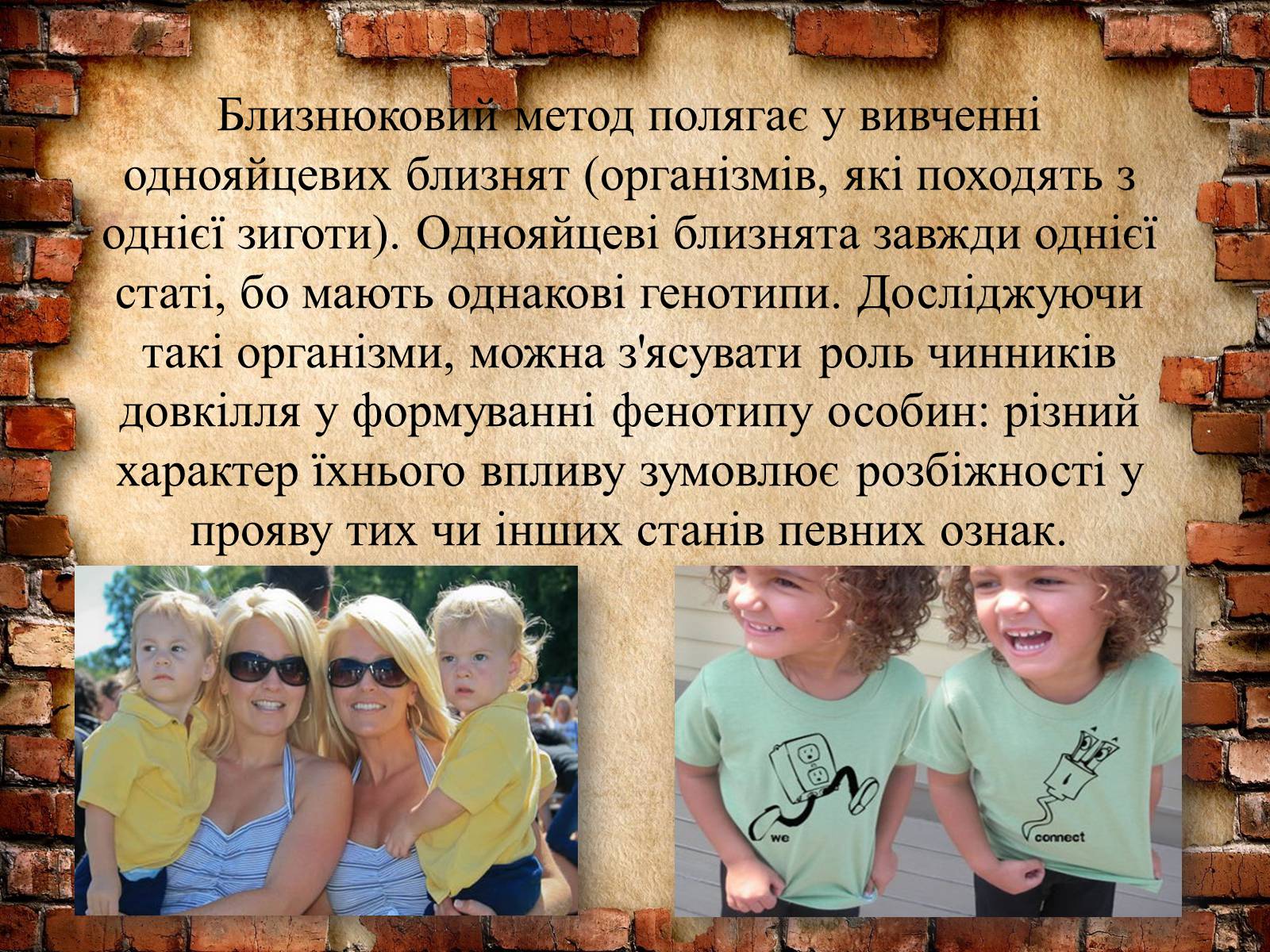 Презентація на тему «Методи генетичних досліджень» (варіант 2) - Слайд #8 Презентація на тему «Методи генетичних досліджень» (варіант 2) - Слайд #8