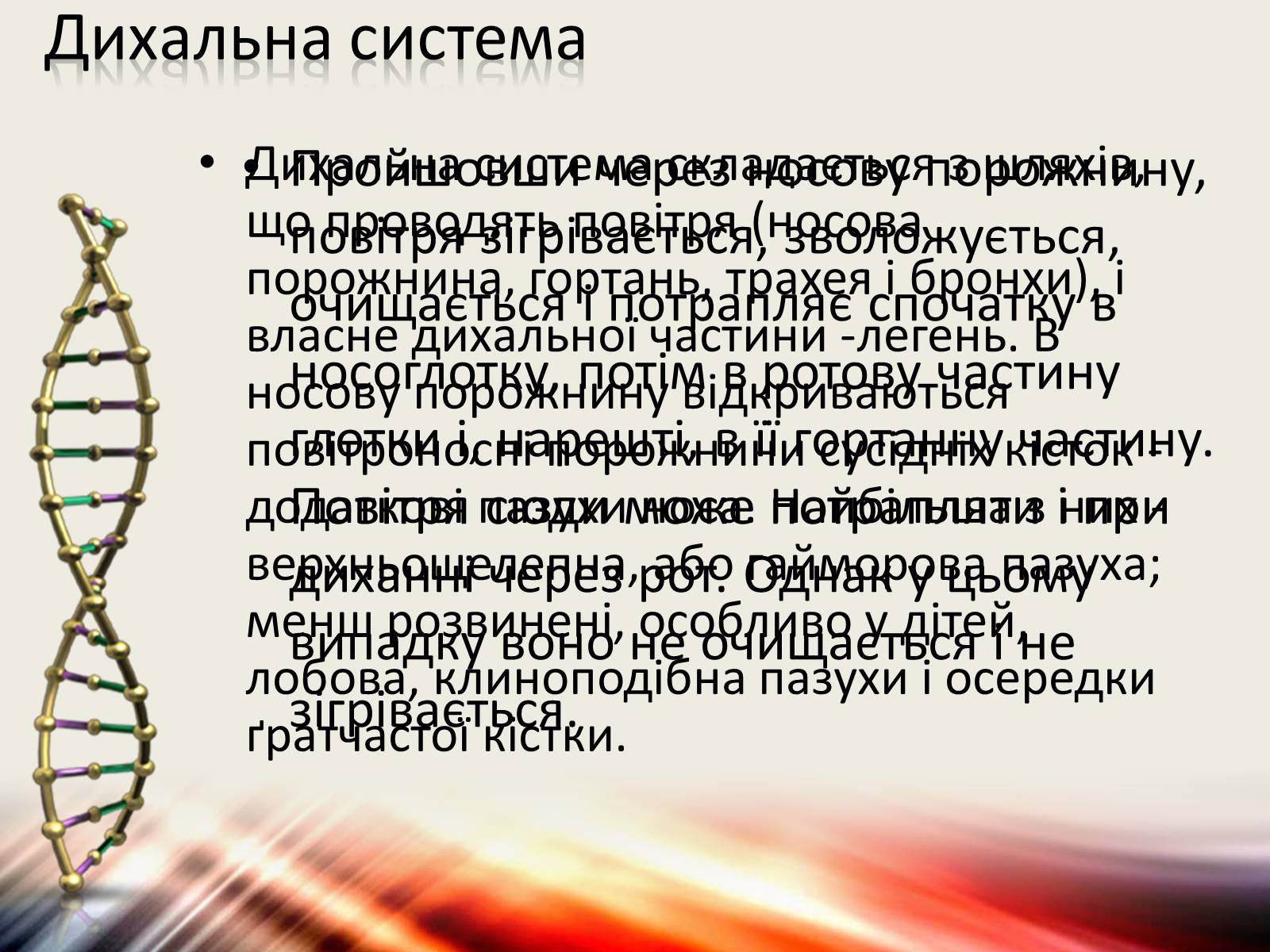 Презентація на тему «Захворювання дихальної системи» (варіант 1) - Слайд #2 Презентація на тему «Захворювання дихальної системи» (варіант 1) - Слайд #2
