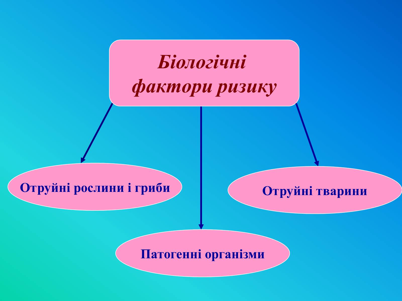 Презентація на тему «Фактори ризику здоров’я людини» - Слайд #5 Презентація на тему «Фактори ризику здоров’я людини» - Слайд #5