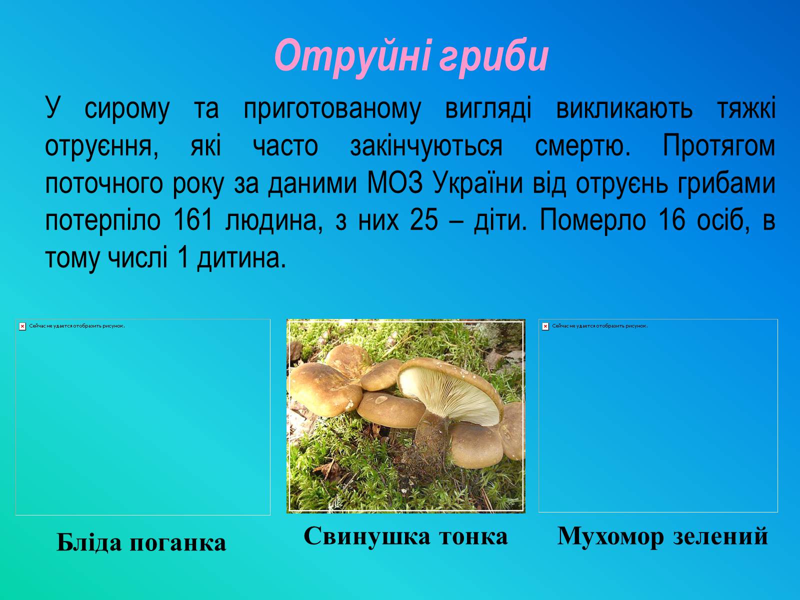 Презентація на тему «Фактори ризику здоров’я людини» - Слайд #8 Презентація на тему «Фактори ризику здоров’я людини» - Слайд #8