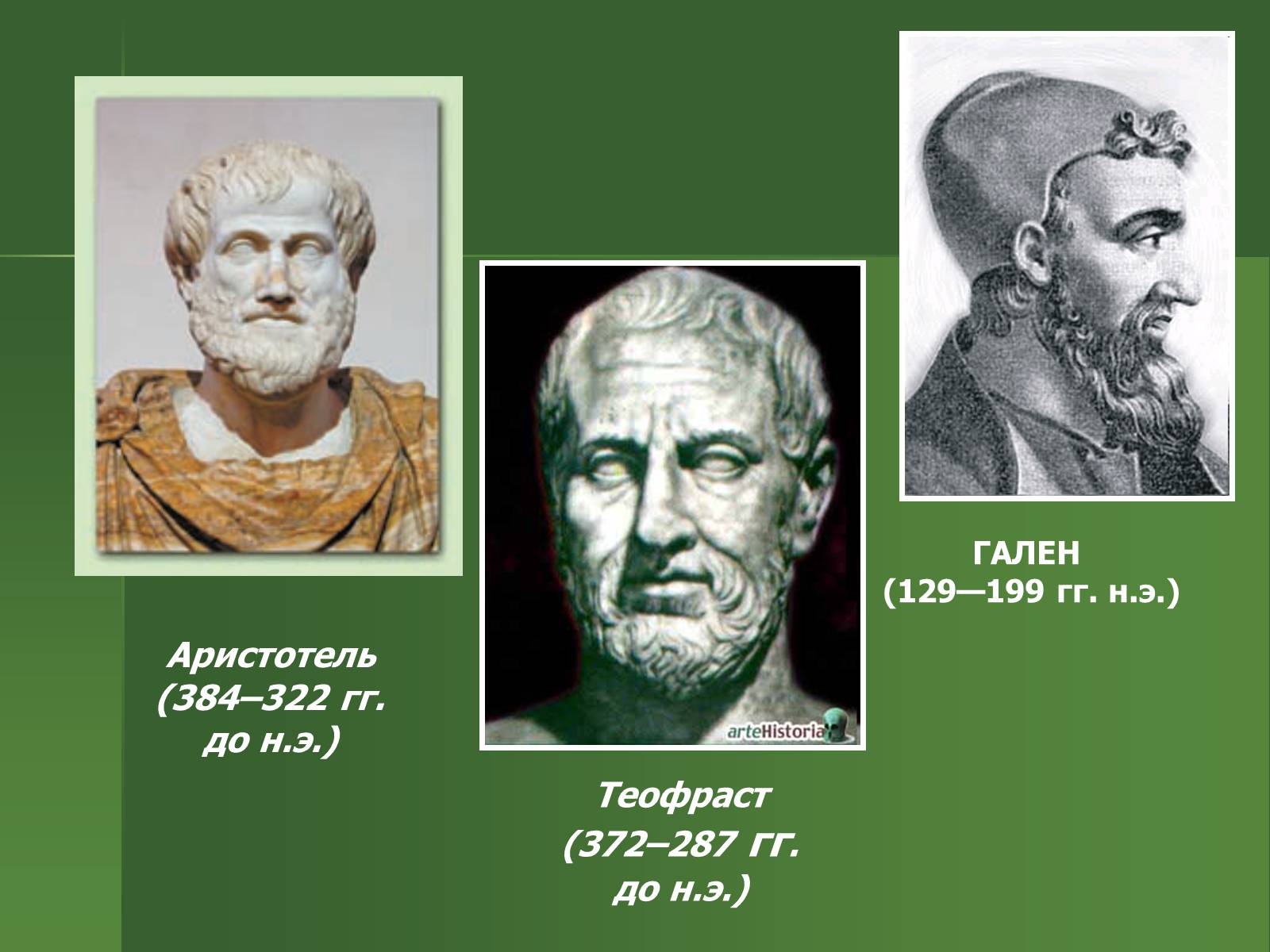 Презентація на тему «История развития биологии» - Слайд #7 Презентація на тему «История развития биологии» - Слайд #7