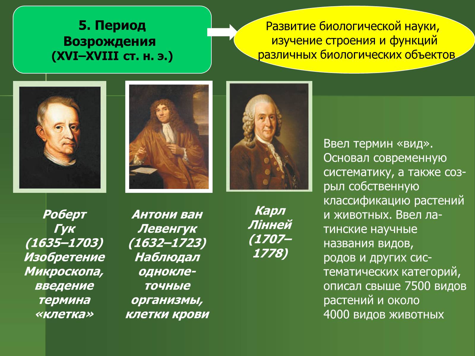 Презентація на тему «История развития биологии» - Слайд #9 Презентація на тему «История развития биологии» - Слайд #9