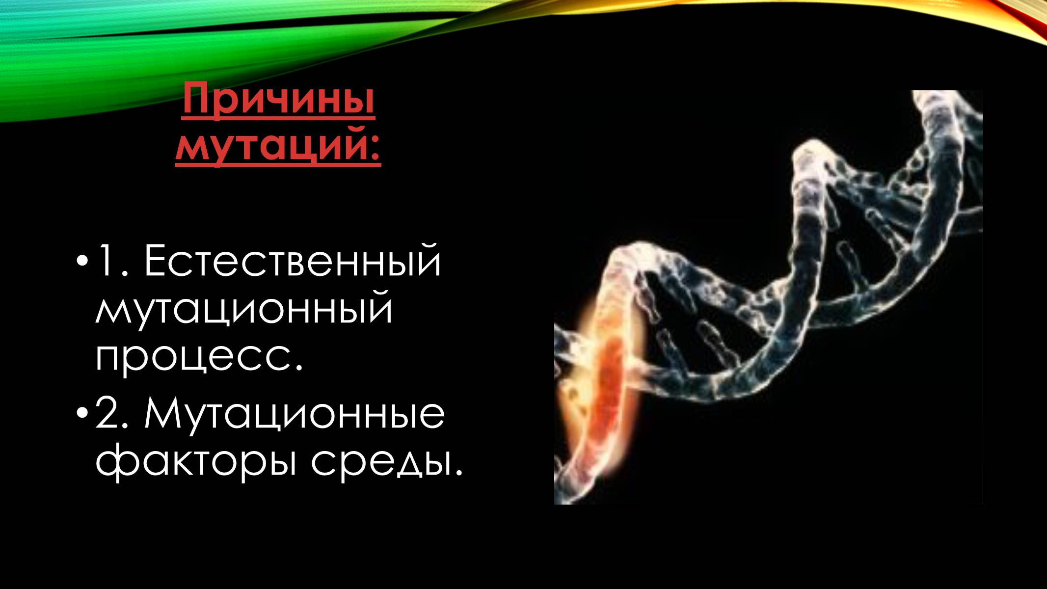 Презентація на тему «Мутации» - Слайд #3 Презентація на тему «Мутации» - Слайд #3