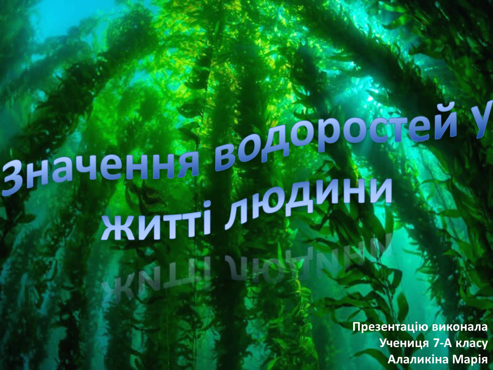 Презентація на тему «Значення водоростей у житті людини» - Слайд #1 Презентація на тему «Значення водоростей у житті людини» - Слайд #1