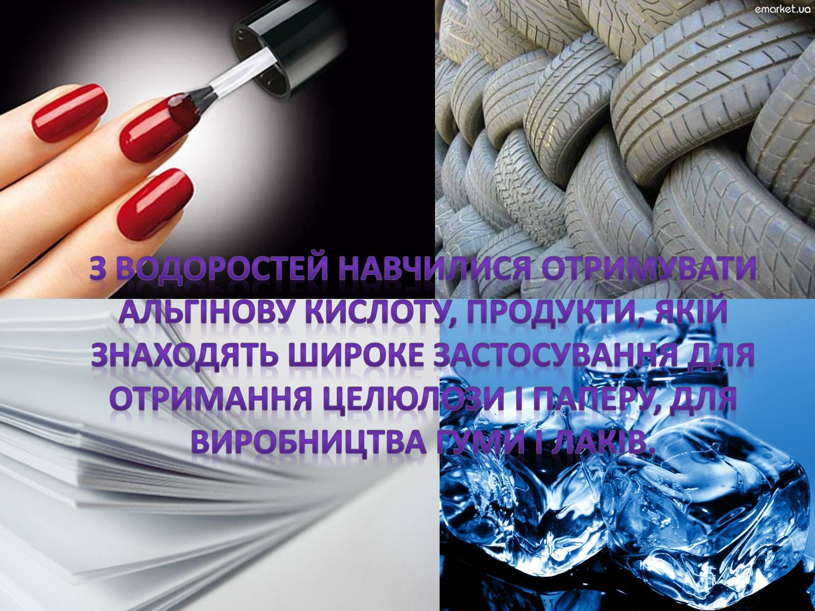 Презентація на тему «Значення водоростей у житті людини» - Слайд #11 Презентація на тему «Значення водоростей у житті людини» - Слайд #11