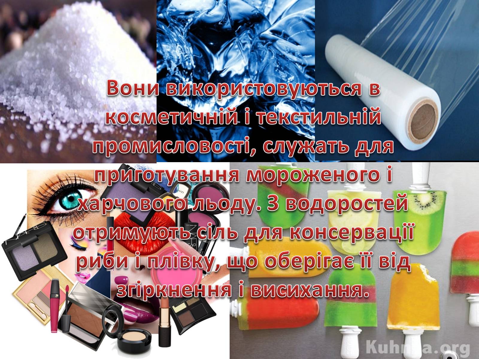 Презентація на тему «Значення водоростей у житті людини» - Слайд #12 Презентація на тему «Значення водоростей у житті людини» - Слайд #12