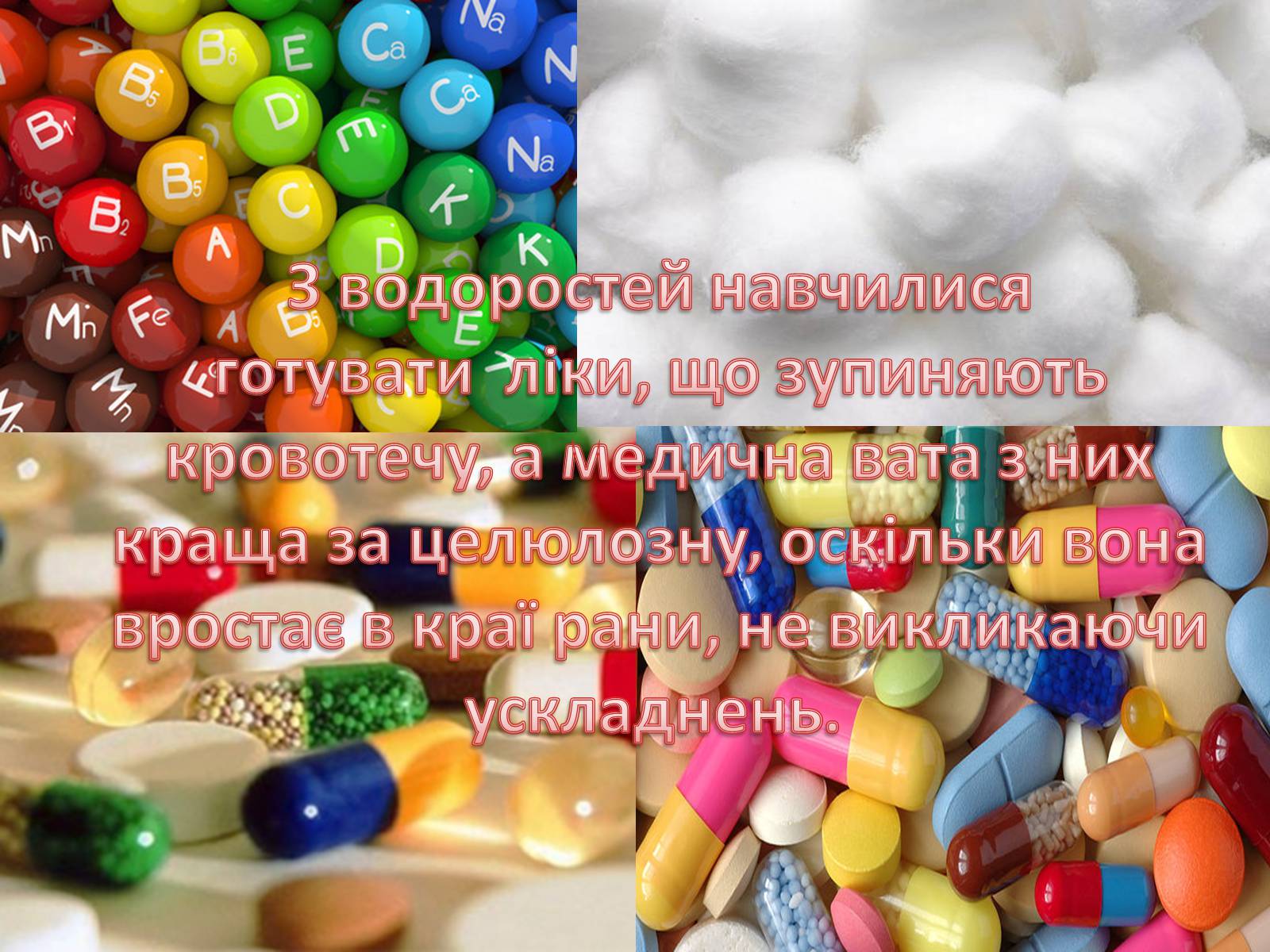 Презентація на тему «Значення водоростей у житті людини» - Слайд #13 Презентація на тему «Значення водоростей у житті людини» - Слайд #13