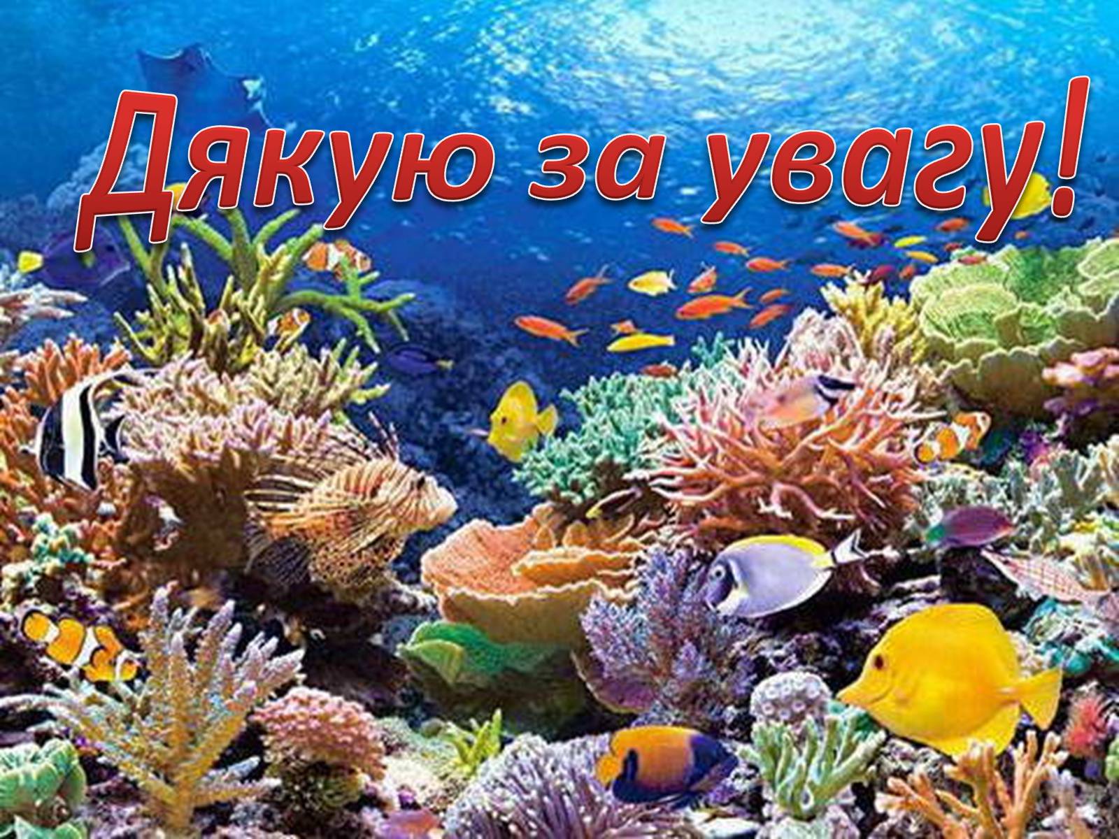 Презентація на тему «Значення водоростей у житті людини» - Слайд #15 Презентація на тему «Значення водоростей у житті людини» - Слайд #15