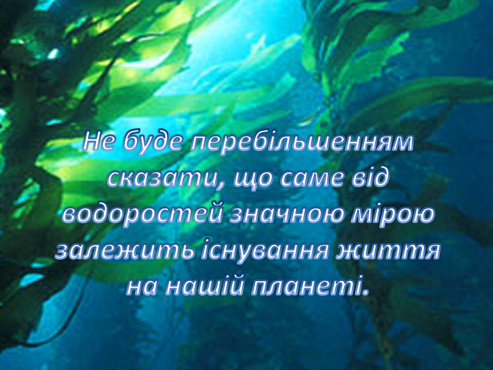 Презентація на тему «Значення водоростей у житті людини» - Слайд #3 Презентація на тему «Значення водоростей у житті людини» - Слайд #3