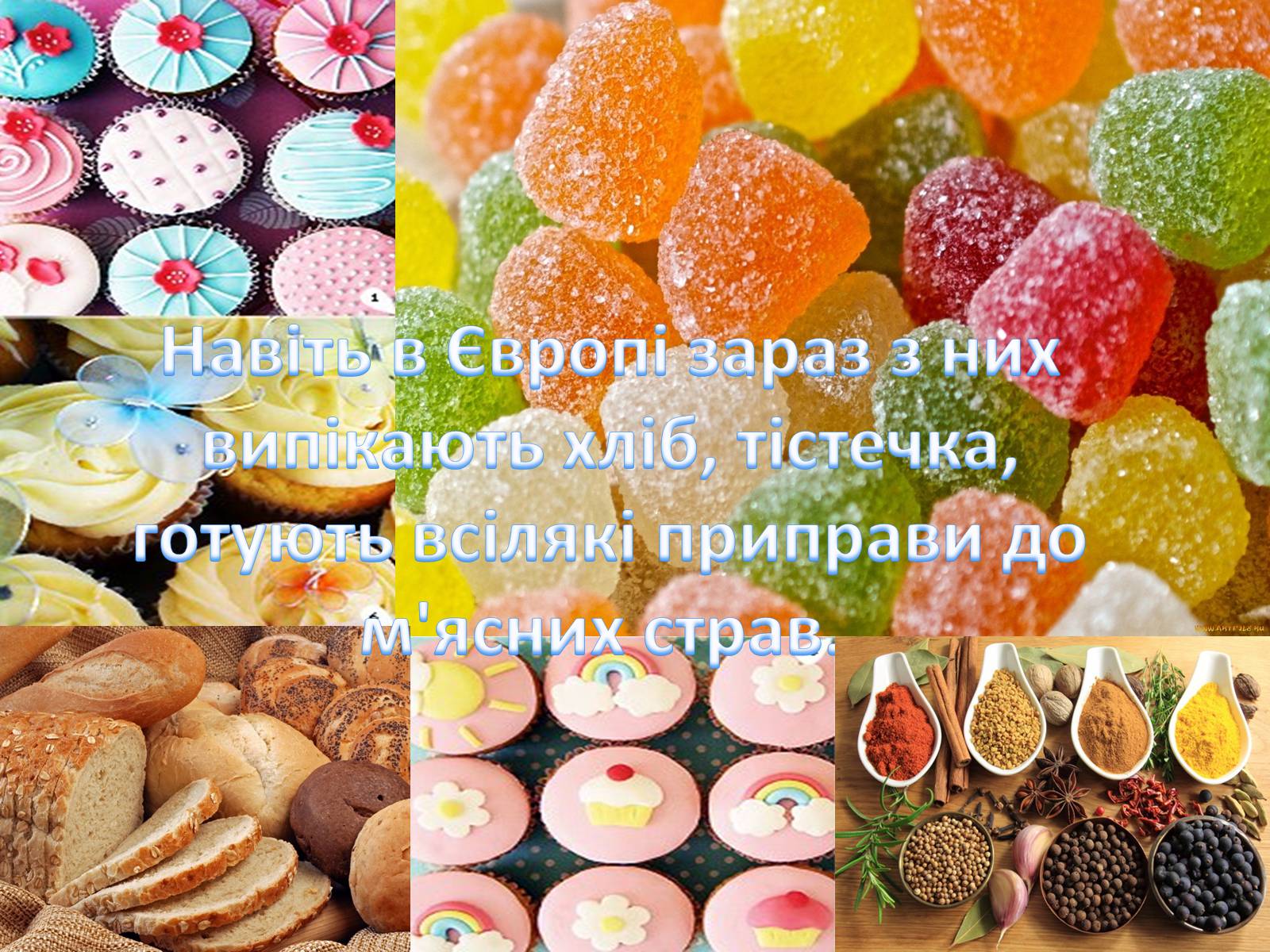 Презентація на тему «Значення водоростей у житті людини» - Слайд #7 Презентація на тему «Значення водоростей у житті людини» - Слайд #7