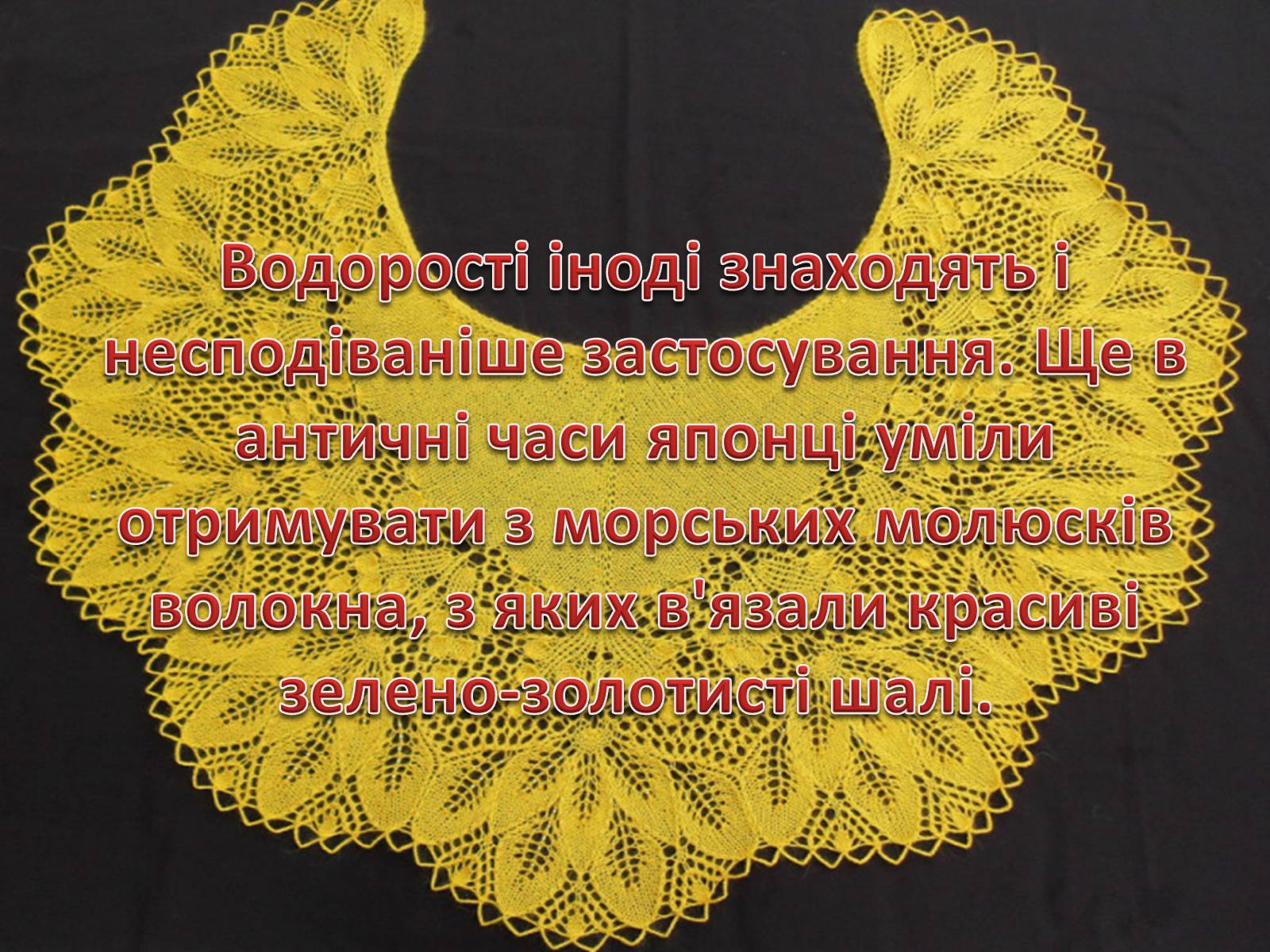 Презентація на тему «Значення водоростей у житті людини» - Слайд #8 Презентація на тему «Значення водоростей у житті людини» - Слайд #8