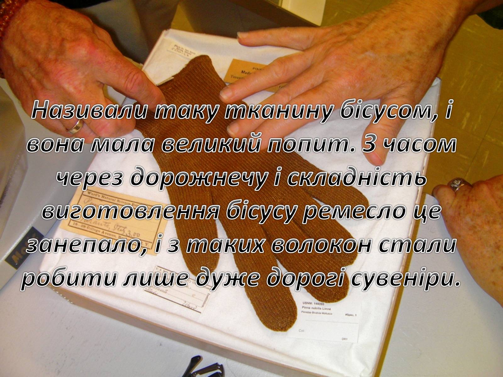 Презентація на тему «Значення водоростей у житті людини» - Слайд #9 Презентація на тему «Значення водоростей у житті людини» - Слайд #9