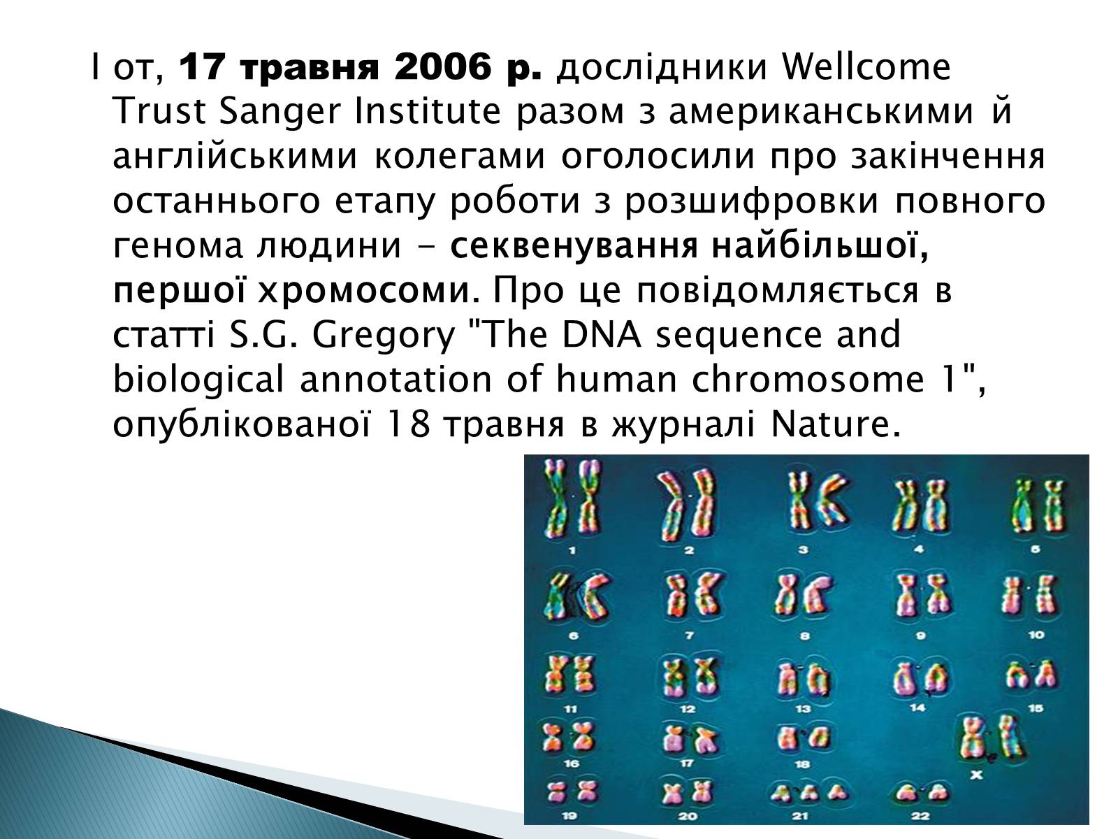Презентація на тему «Геном Людини» - Слайд #11 Презентація на тему «Геном Людини» - Слайд #11