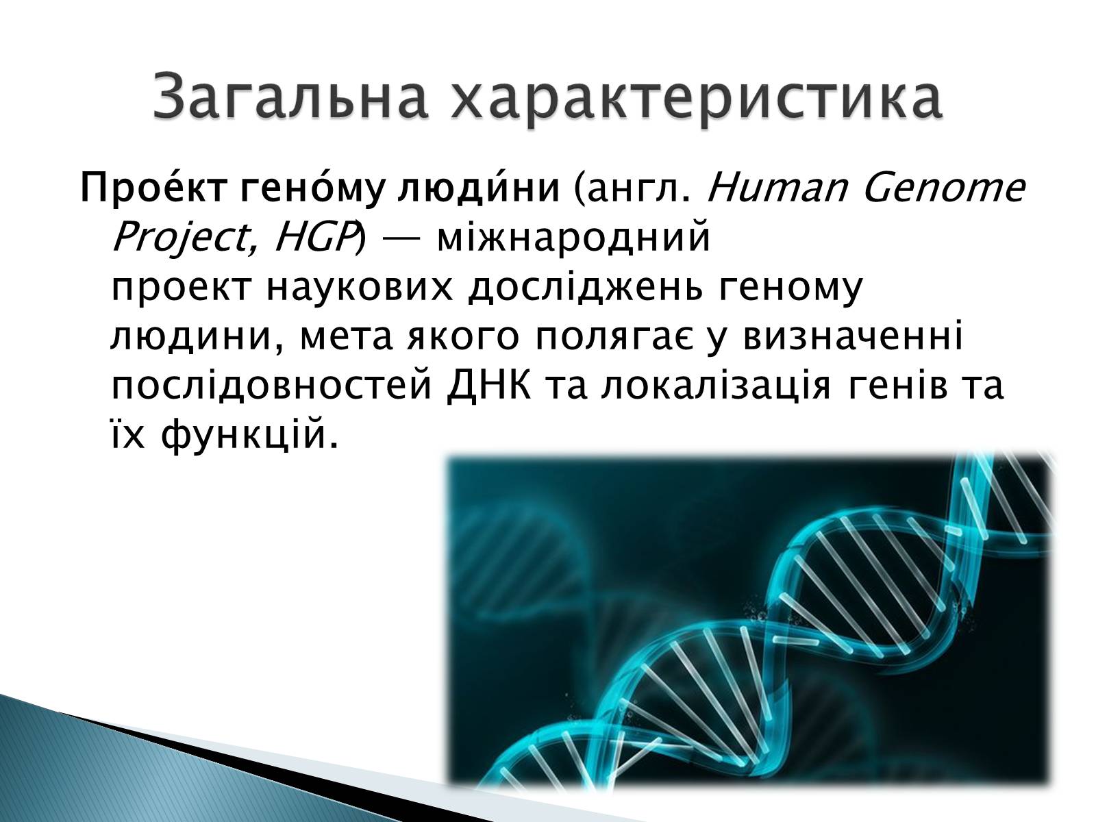 Презентація на тему «Геном Людини» - Слайд #3 Презентація на тему «Геном Людини» - Слайд #3