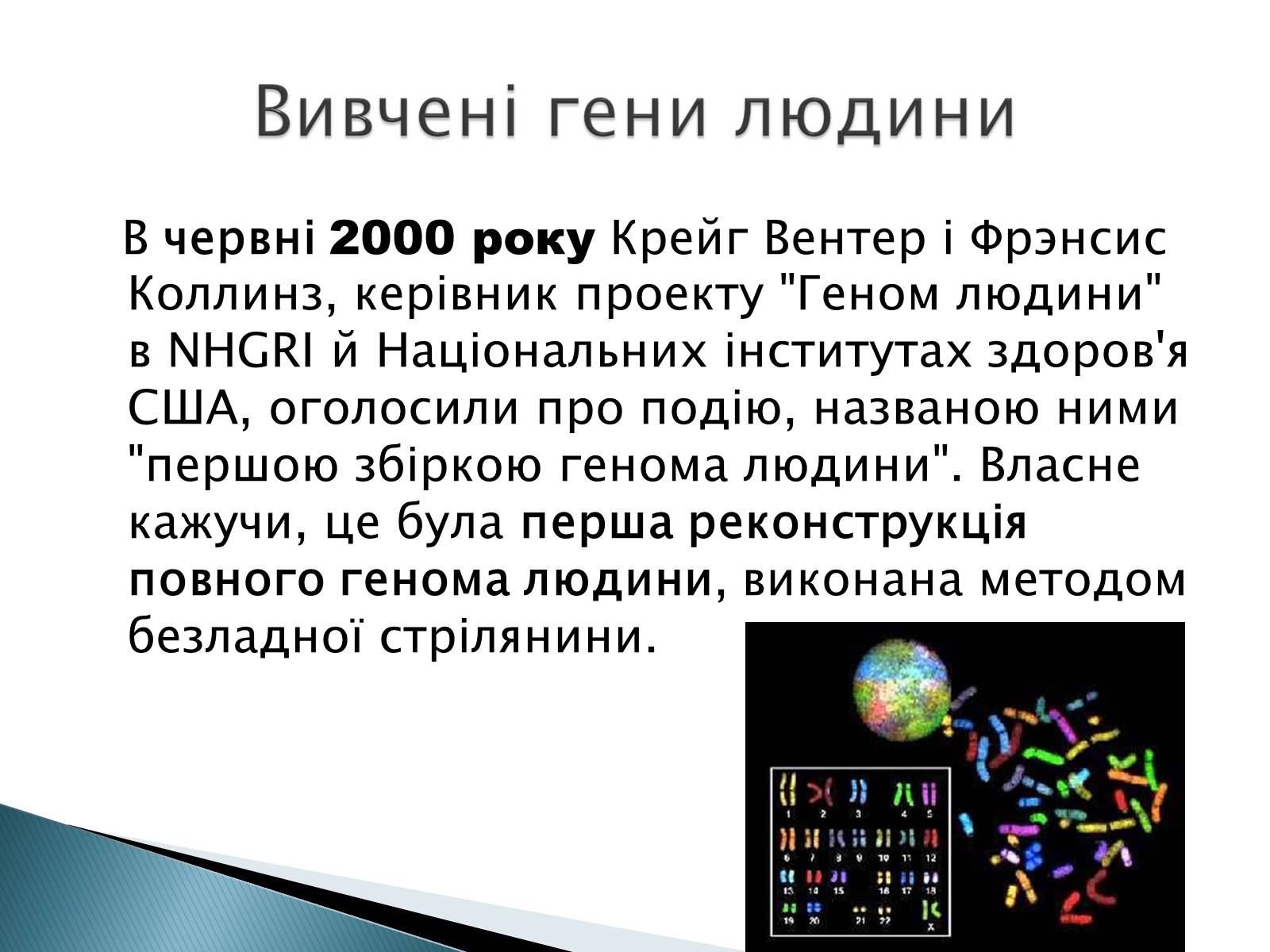 Презентація на тему «Геном Людини» - Слайд #9 Презентація на тему «Геном Людини» - Слайд #9