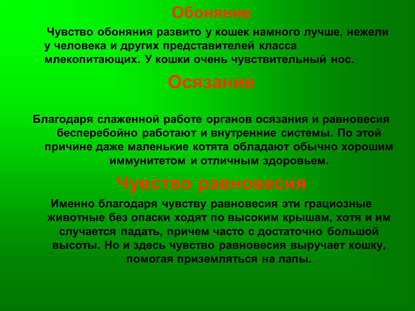 Презентація на тему «Семейство кошачьи» - Слайд #22 Презентація на тему «Семейство кошачьи» - Слайд #22
