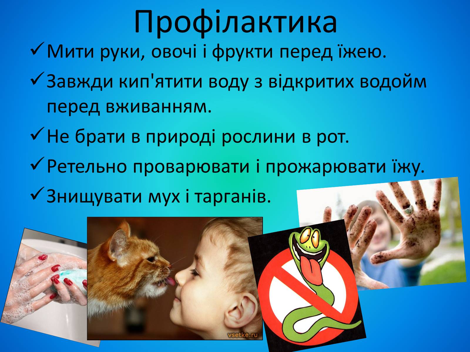 Презентація на тему «Тип Круглі черви» - Слайд #11 Презентація на тему «Тип Круглі черви» - Слайд #11