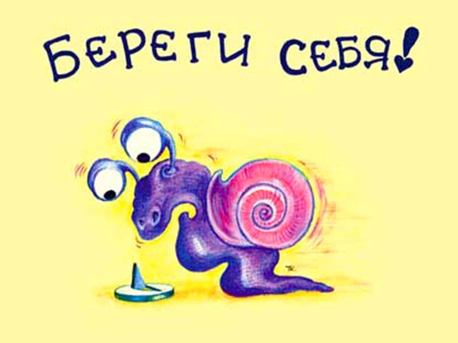 Презентація на тему «Тип Круглі черви» - Слайд #12 Презентація на тему «Тип Круглі черви» - Слайд #12
