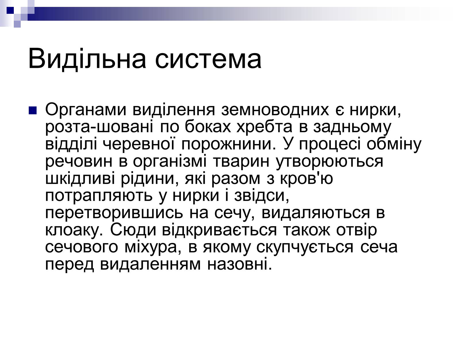Презентація на тему «Земноводні» (варіант 1) - Слайд #12 Презентація на тему «Земноводні» (варіант 1) - Слайд #12