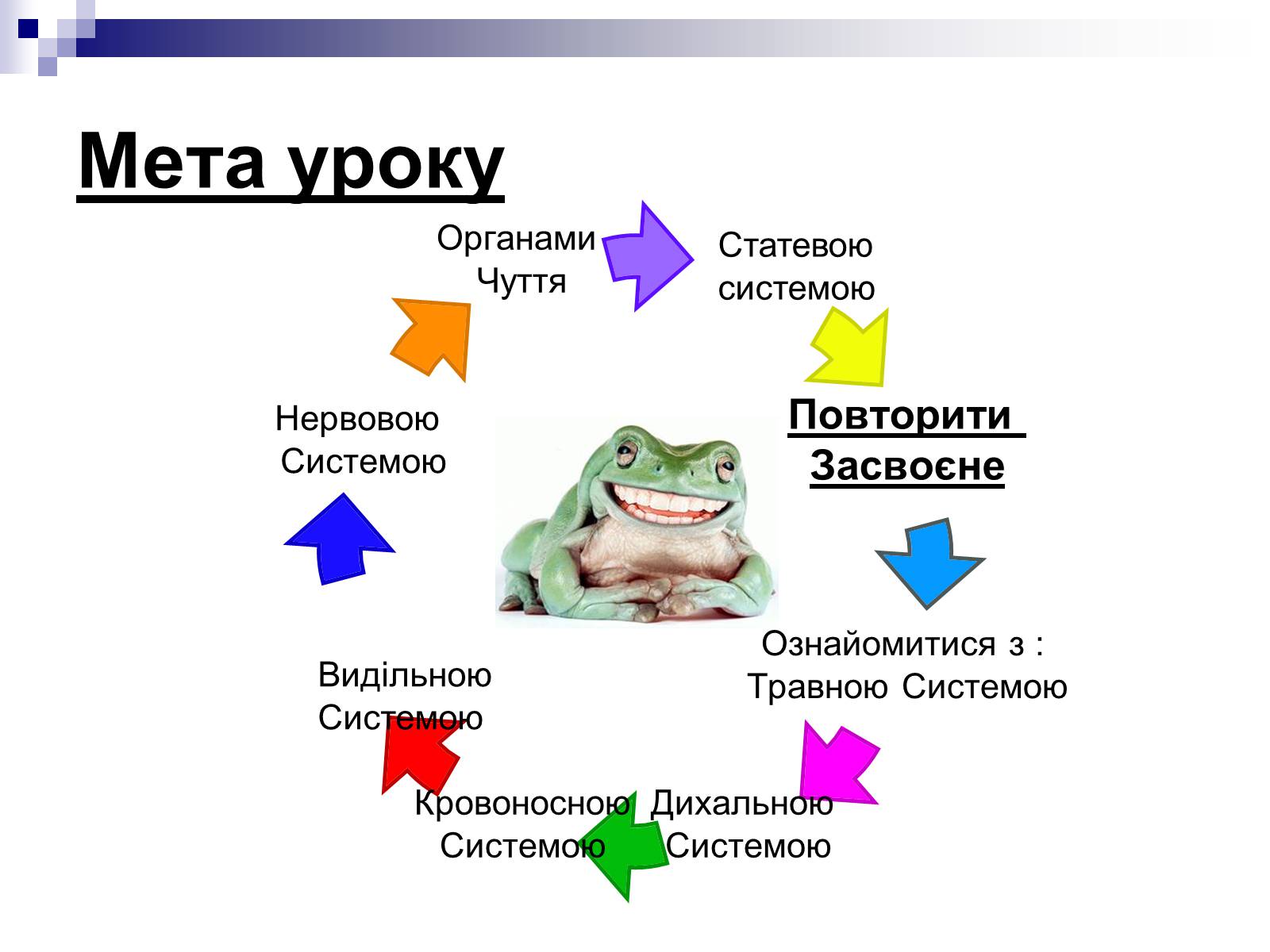 Презентація на тему «Земноводні» (варіант 1) - Слайд #3 Презентація на тему «Земноводні» (варіант 1) - Слайд #3