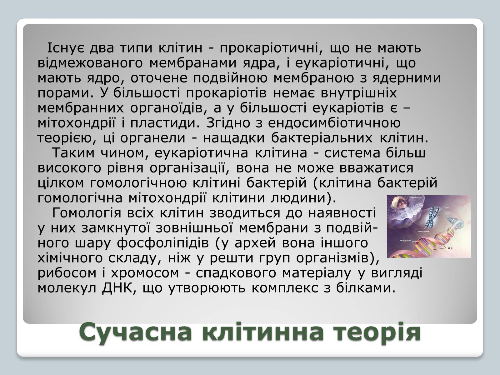 Презентація на тему «Клітинна теорія» - Слайд #10 Презентація на тему «Клітинна теорія» - Слайд #10